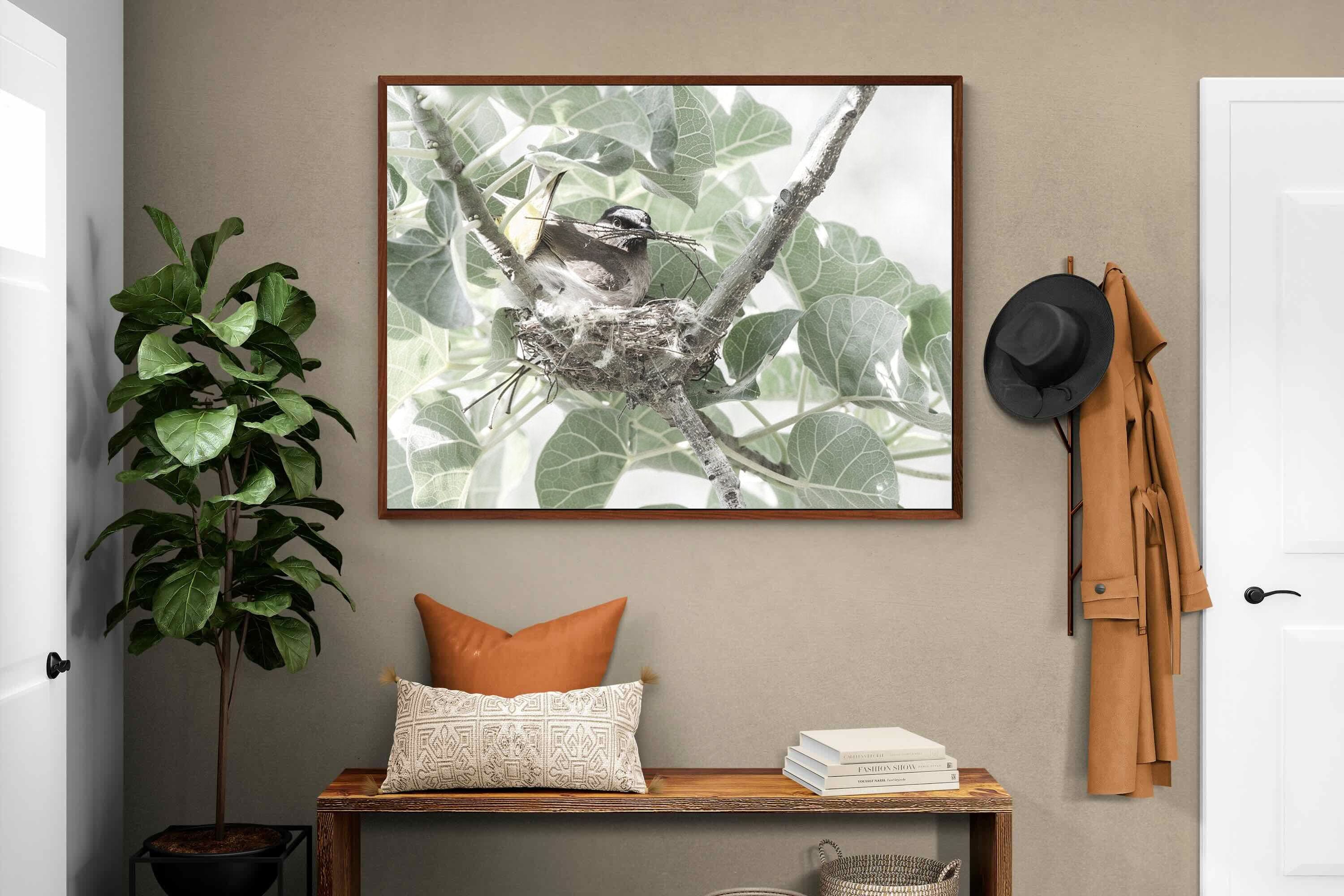 Pixalot Nesting Bulbul