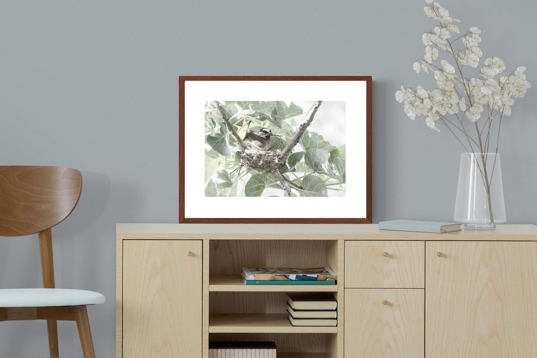 Pixalot Nesting Bulbul