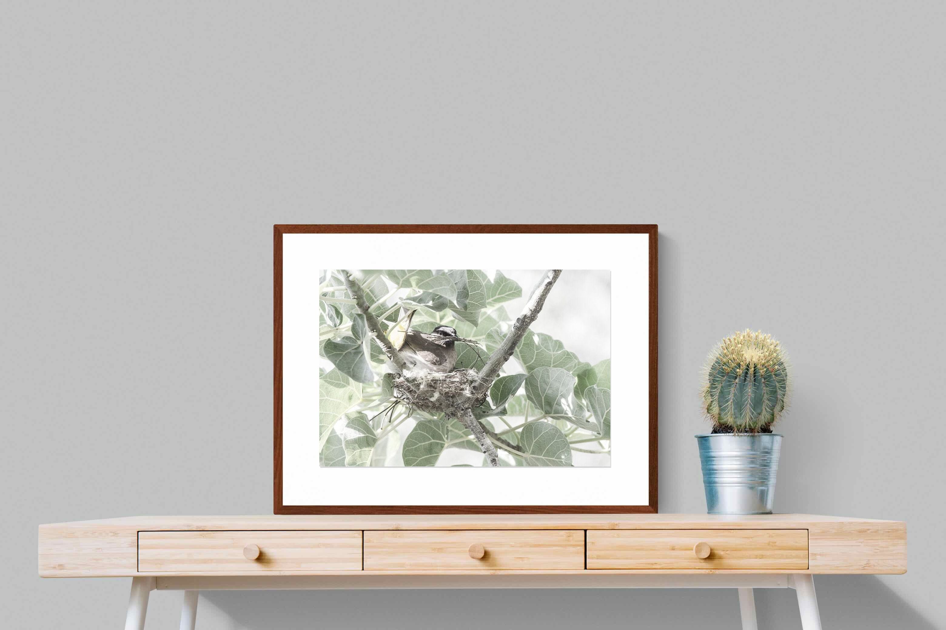 Pixalot Nesting Bulbul