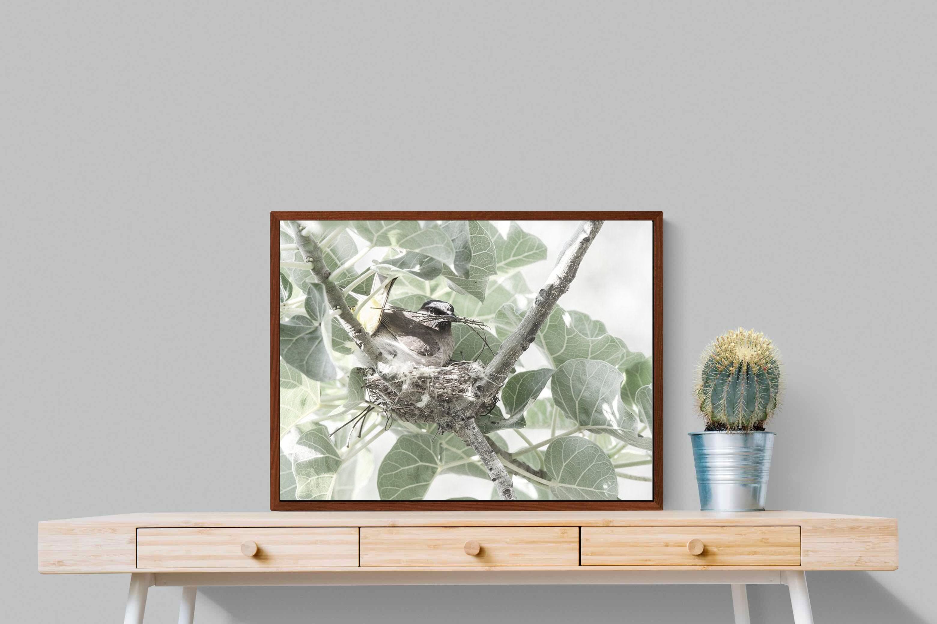 Pixalot Nesting Bulbul