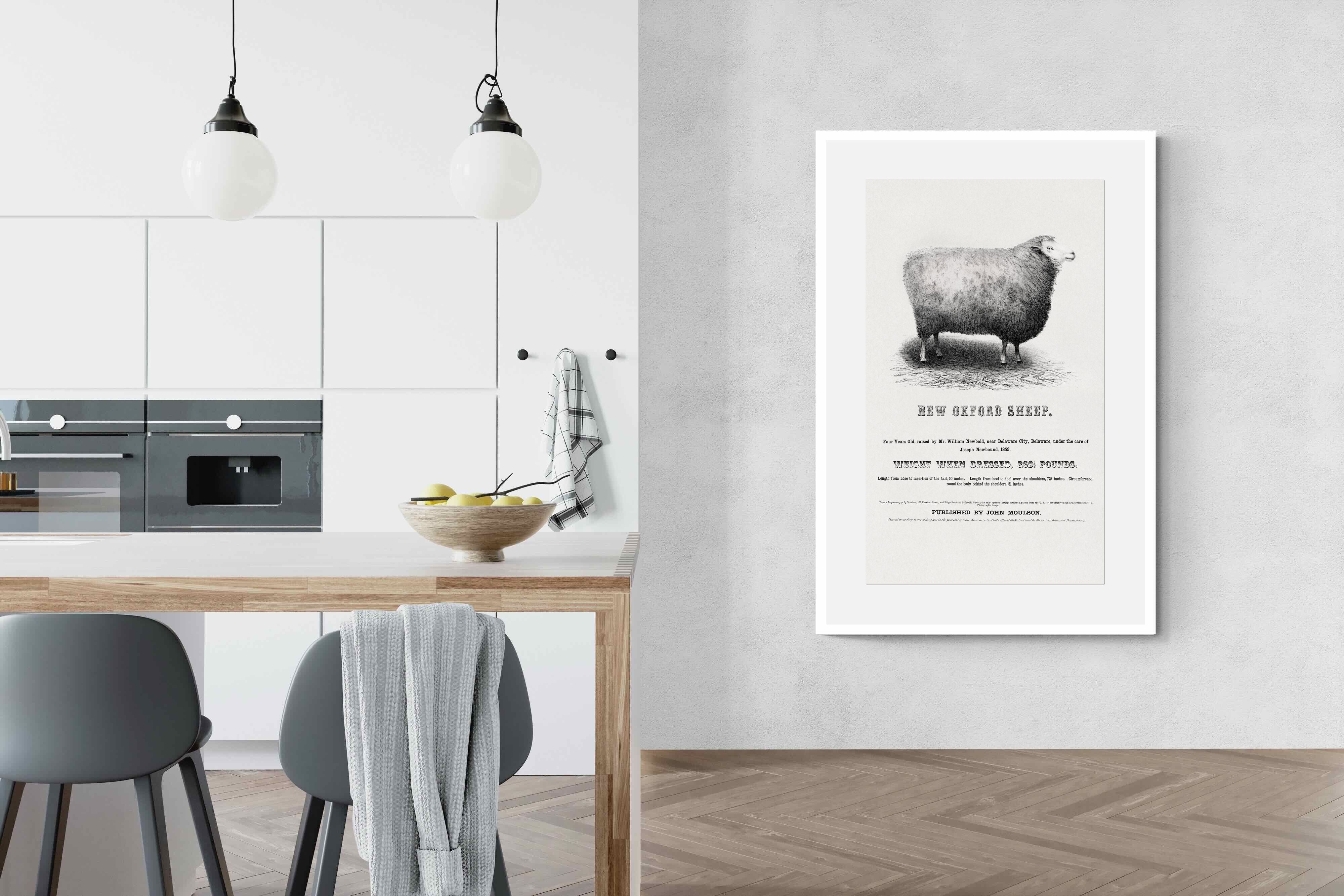 Pixalot New Oxford Sheep