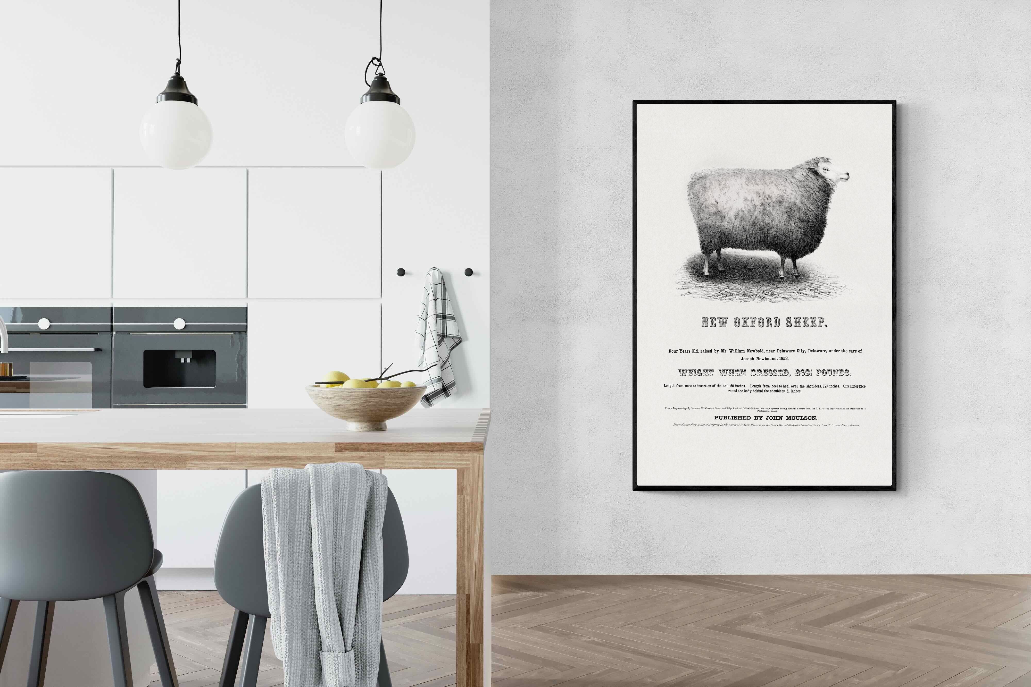 Pixalot New Oxford Sheep