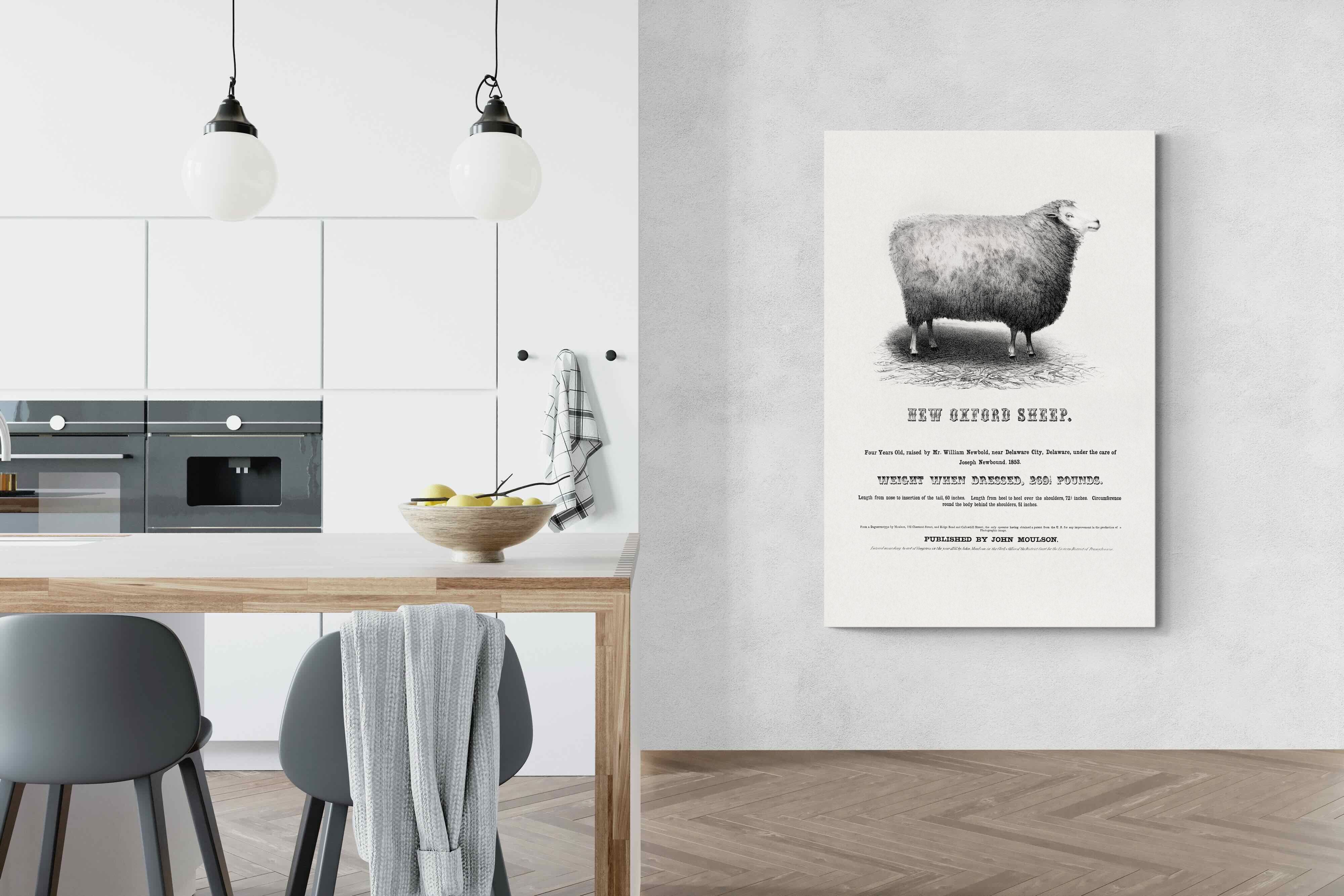 Pixalot New Oxford Sheep