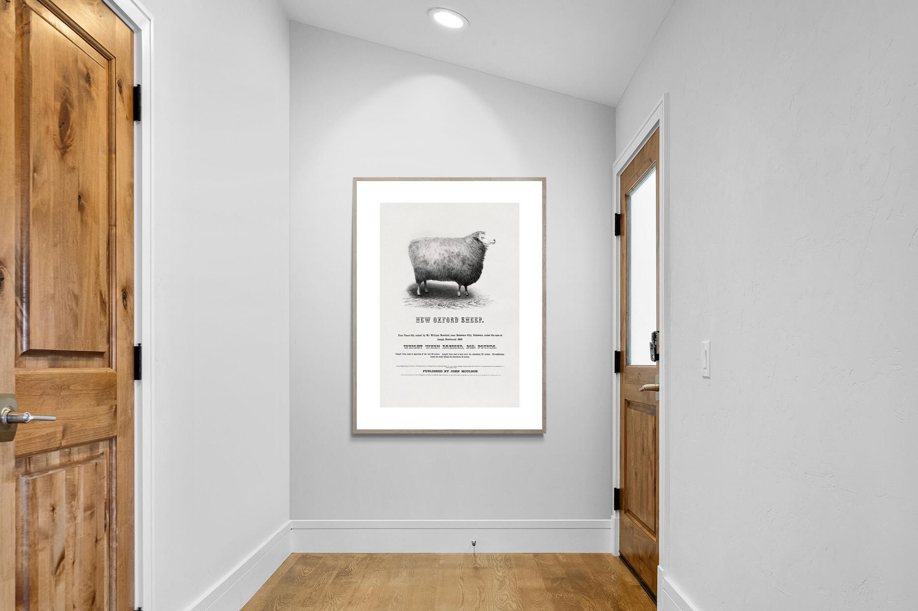 Pixalot New Oxford Sheep