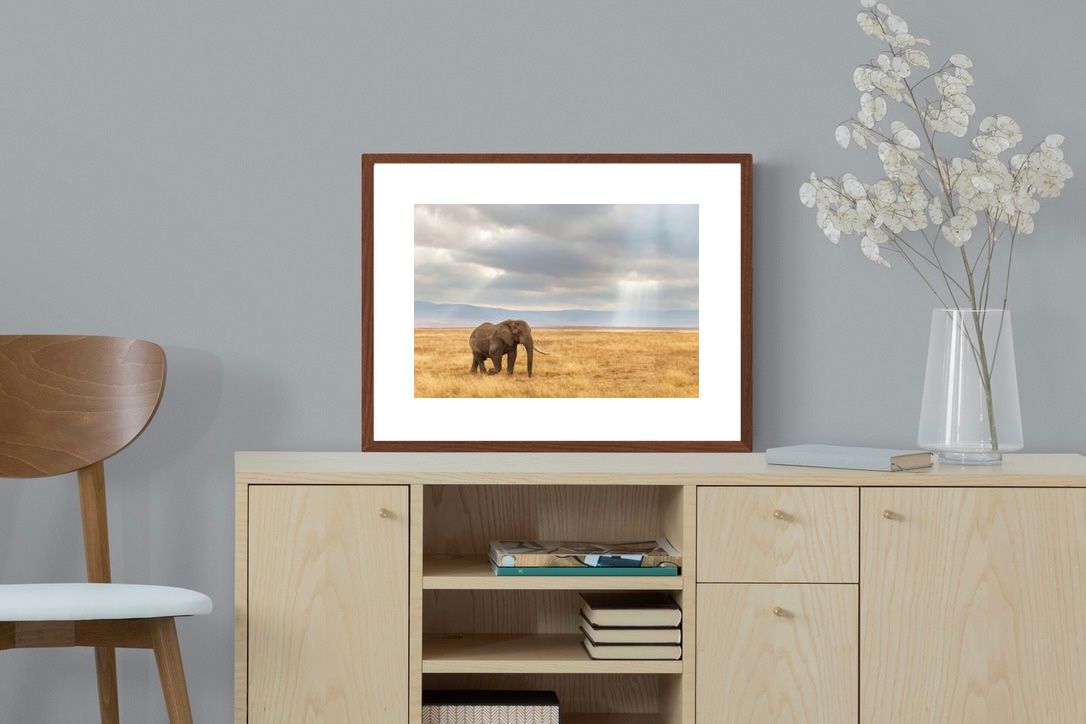 Pixalot ® Ngorongoro Ele