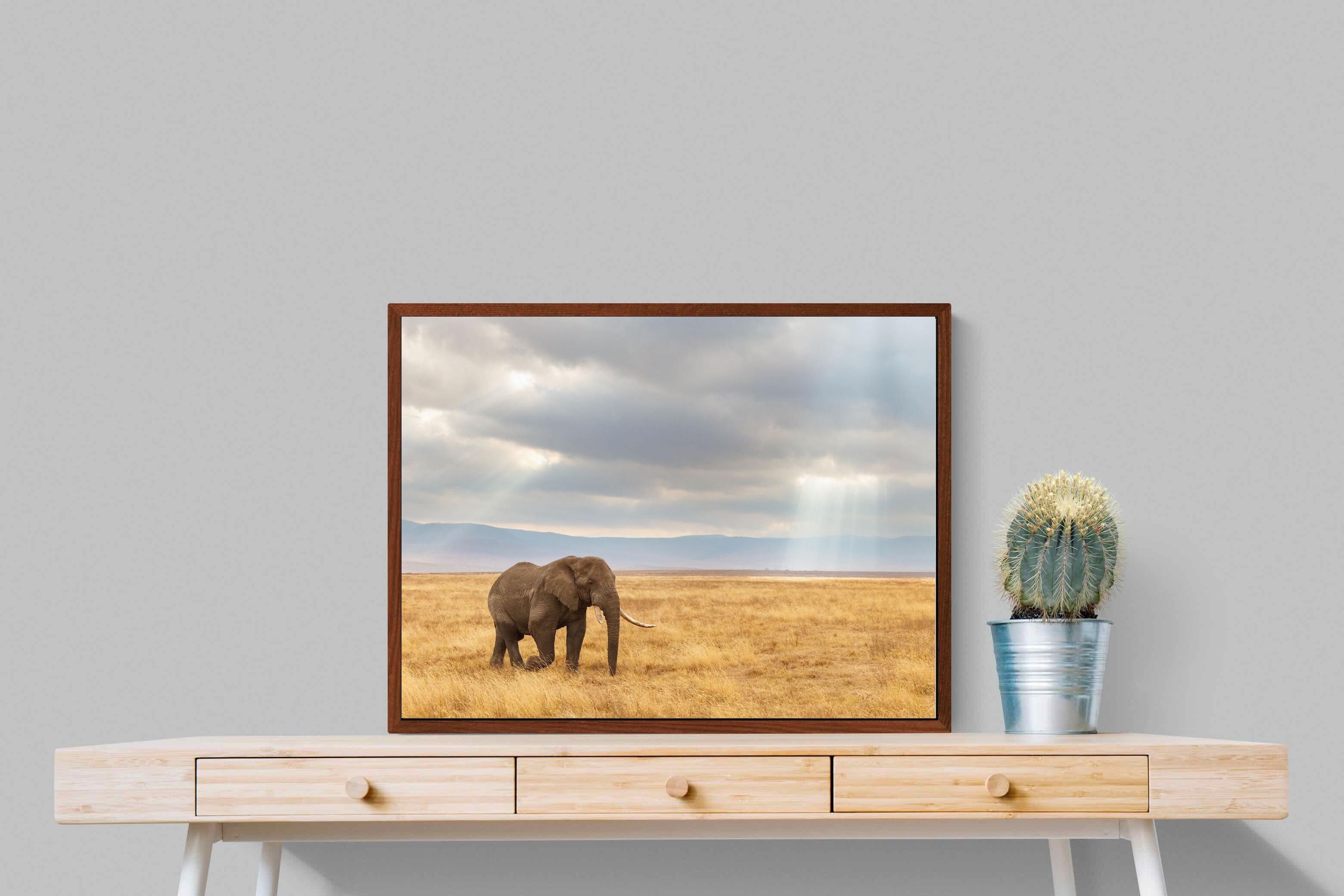 Pixalot ® Ngorongoro Ele