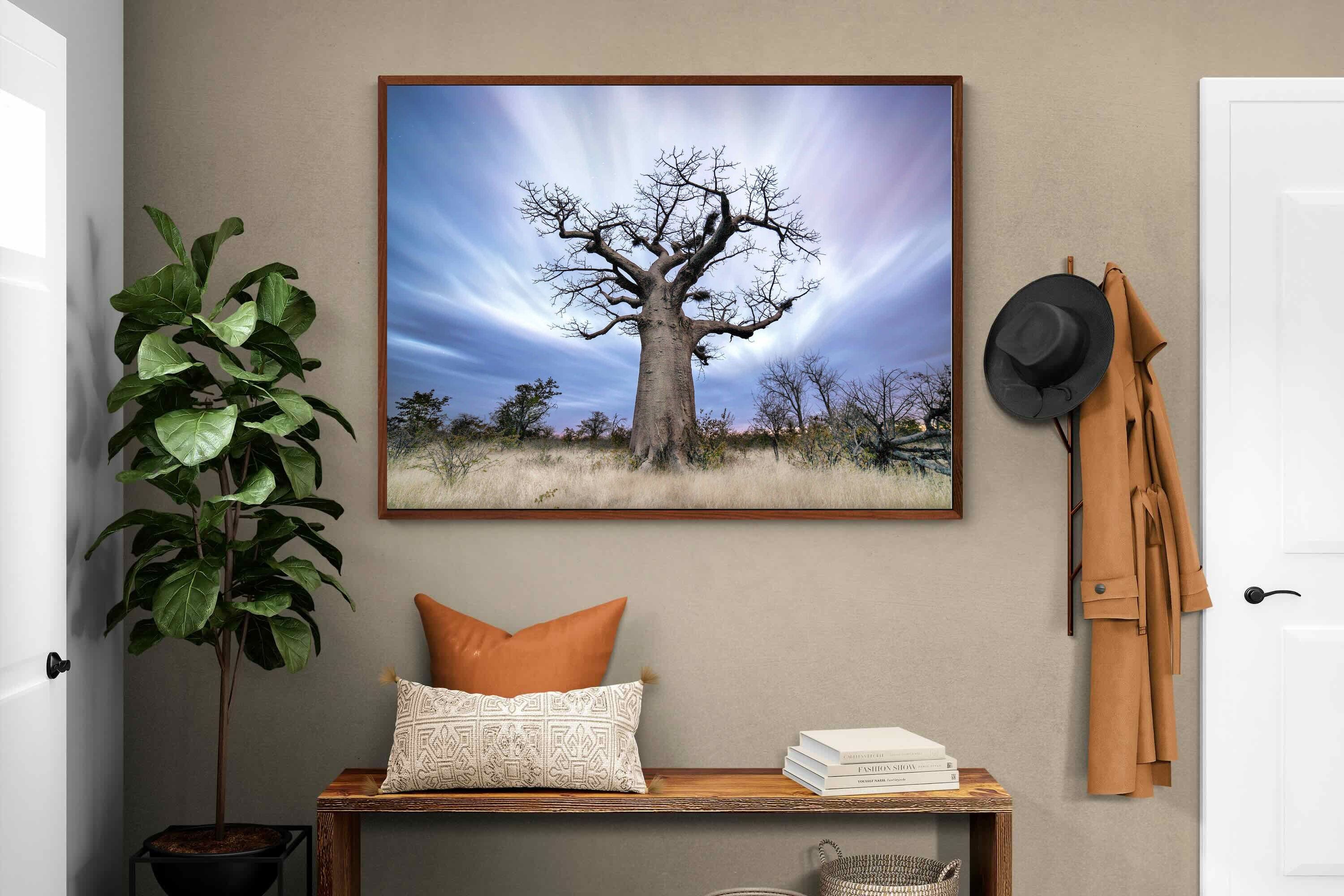 Pixalot ® Night Sky Baobab