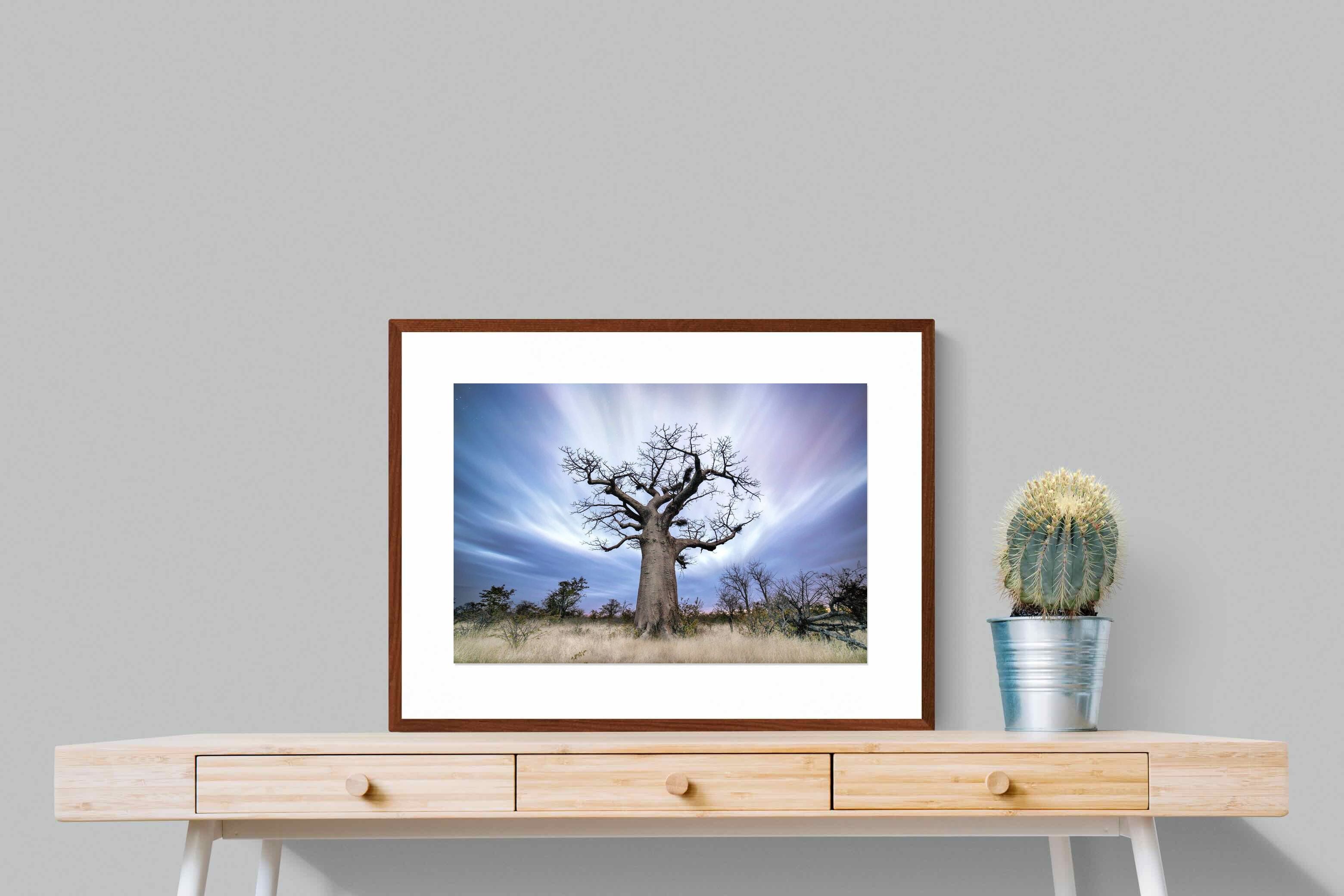 Pixalot ® Night Sky Baobab