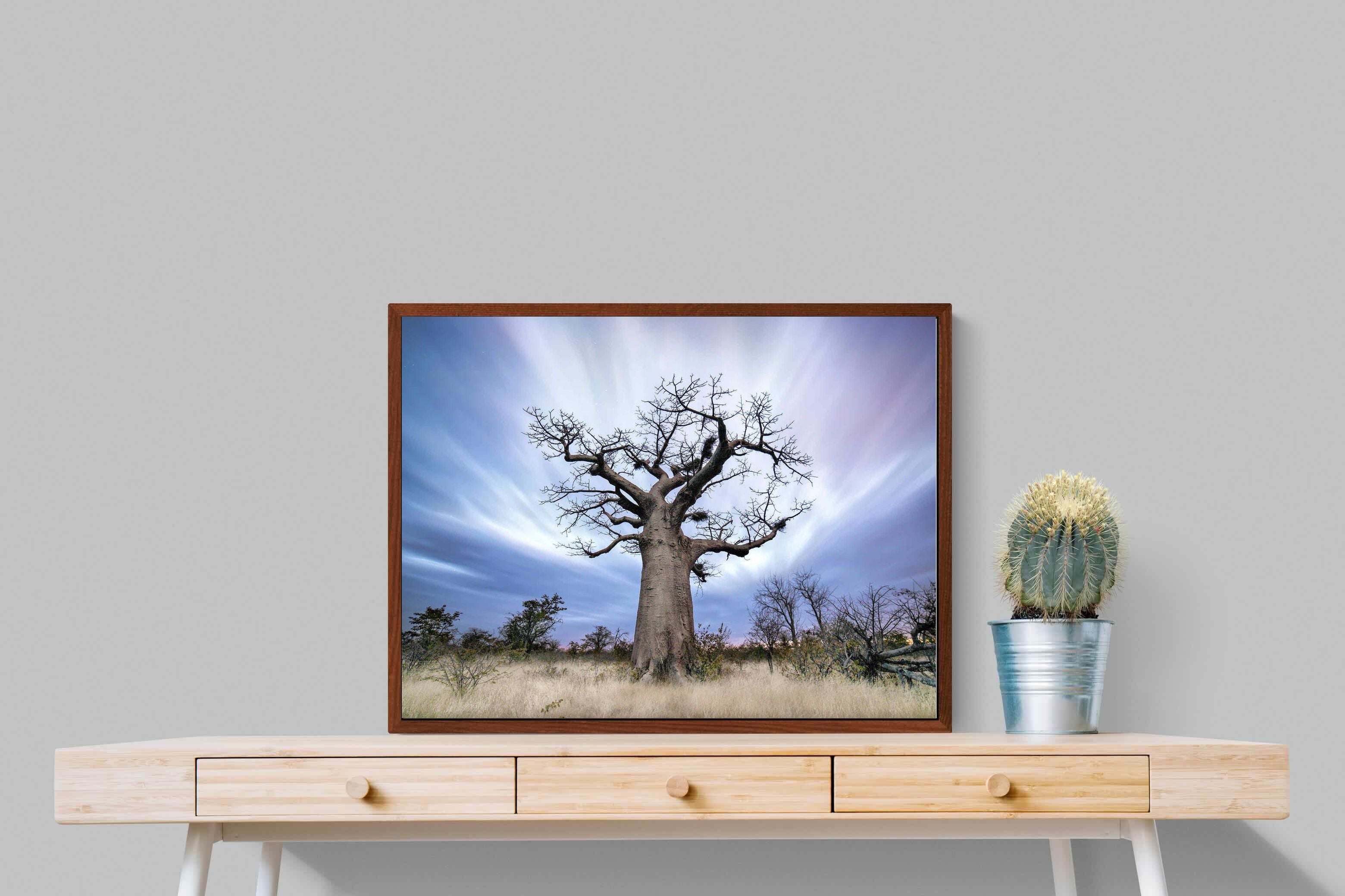 Pixalot ® Night Sky Baobab