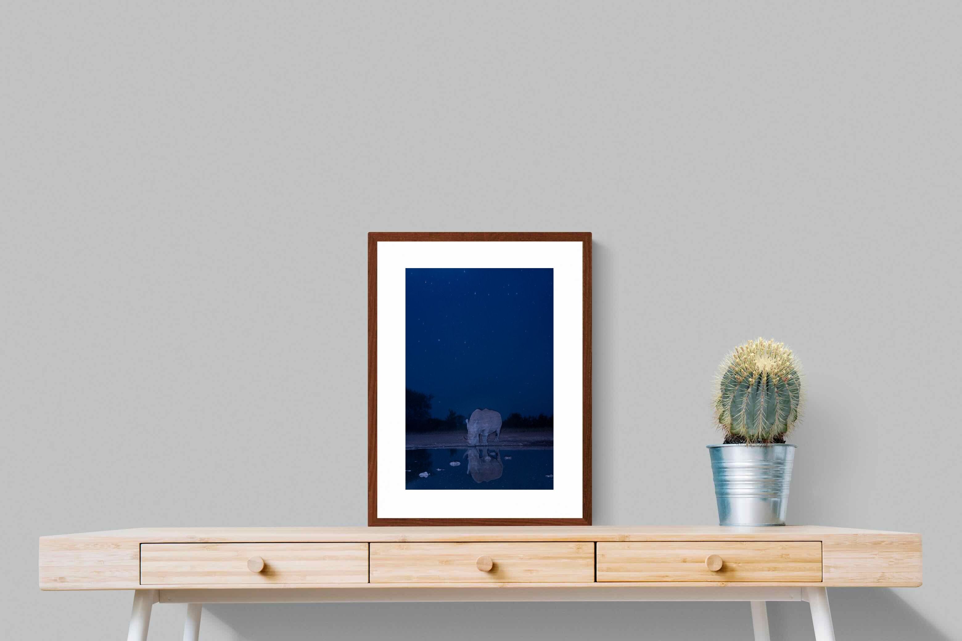 Pixalot Nocturnal Reflections