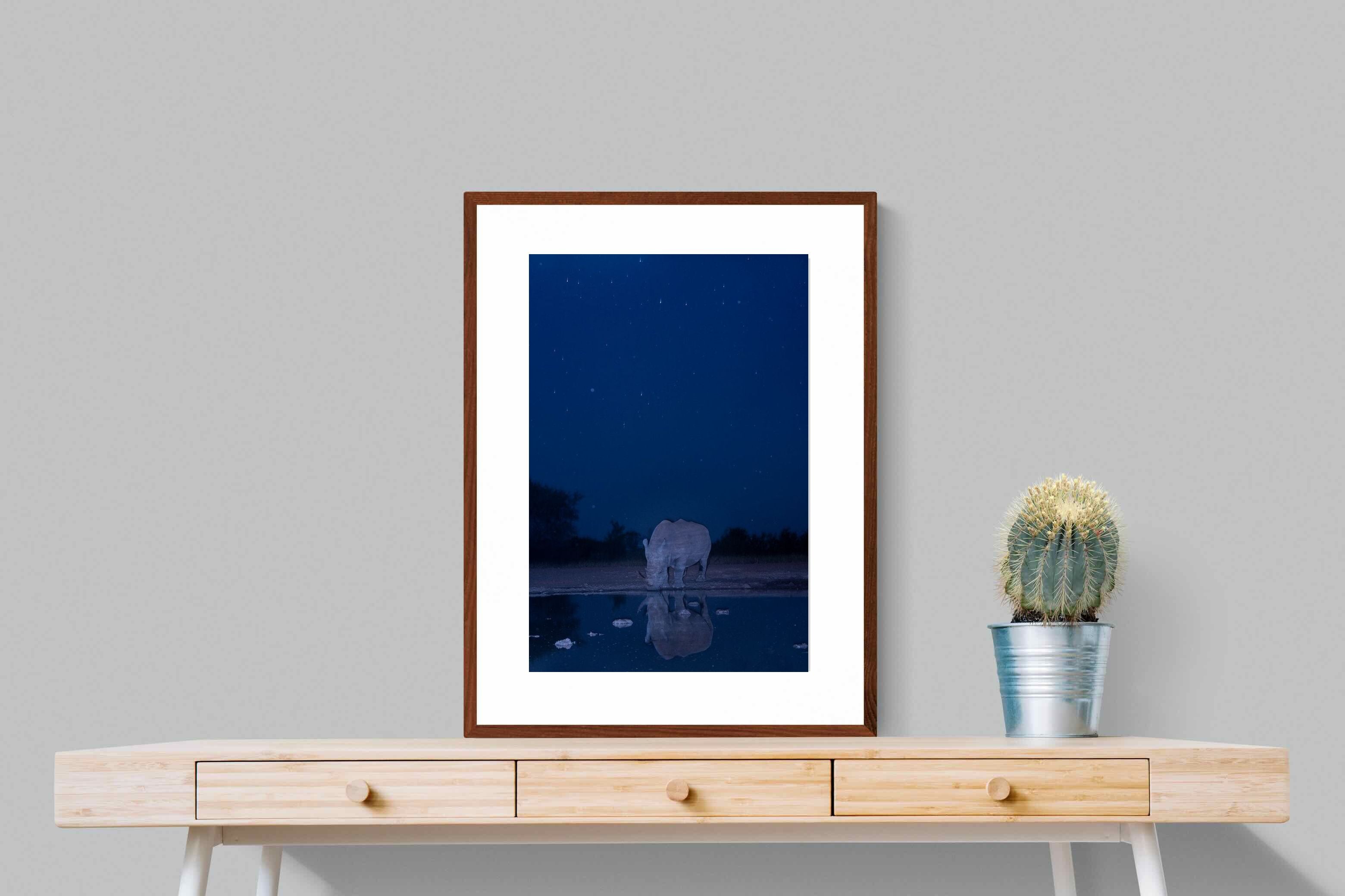 Pixalot Nocturnal Reflections