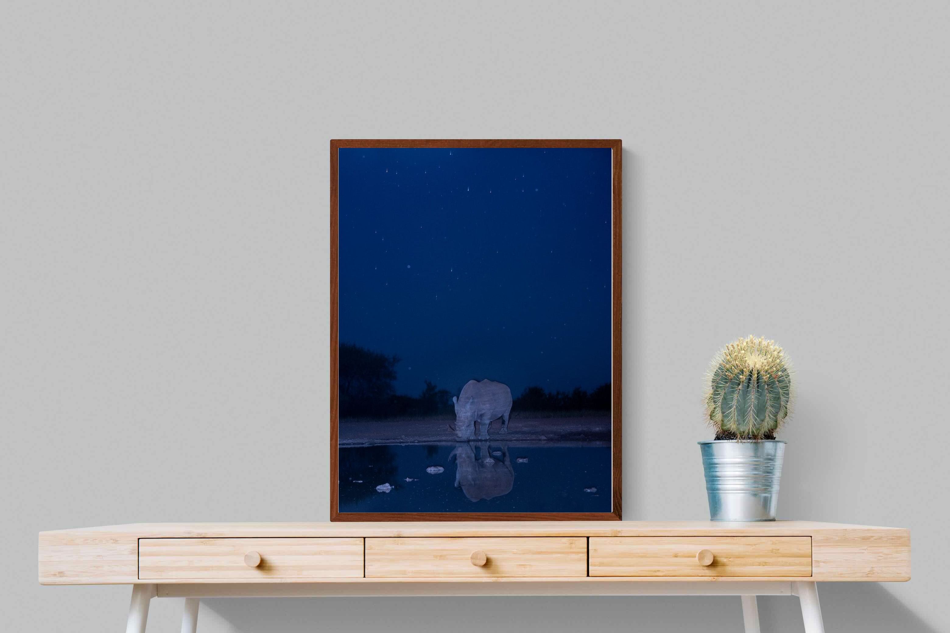 Pixalot Nocturnal Reflections