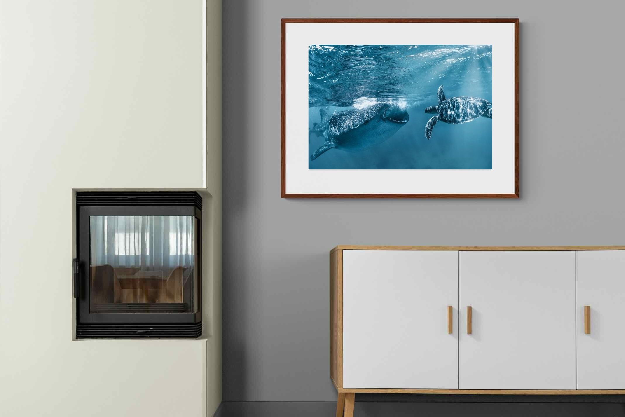 Pixalot ® Ocean Harmony