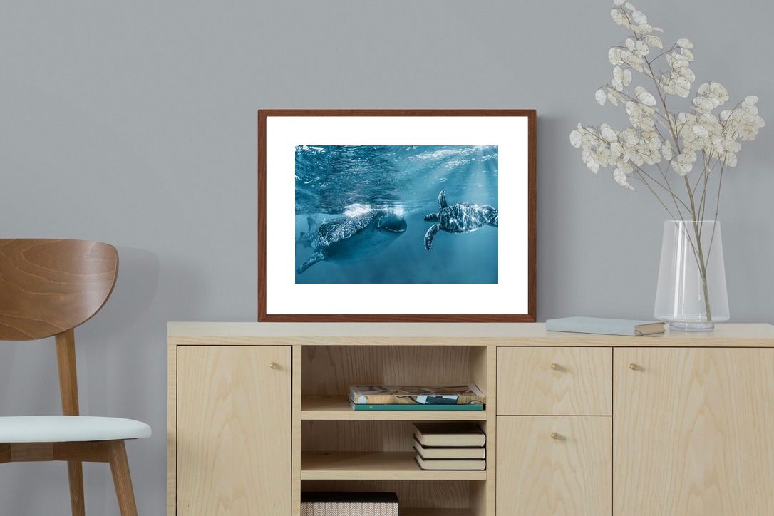 Pixalot ® Ocean Harmony