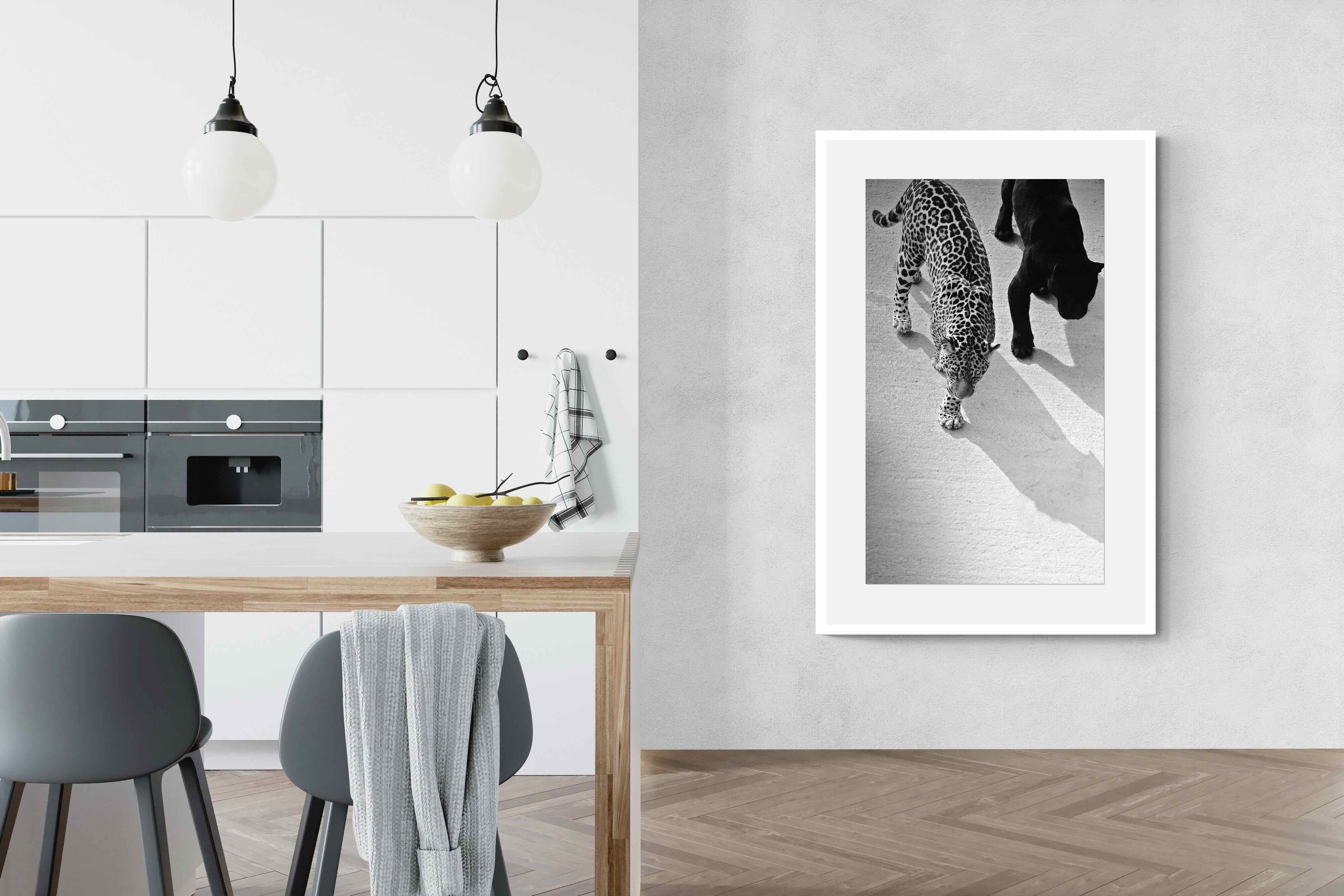 Pixalot On The Prowl