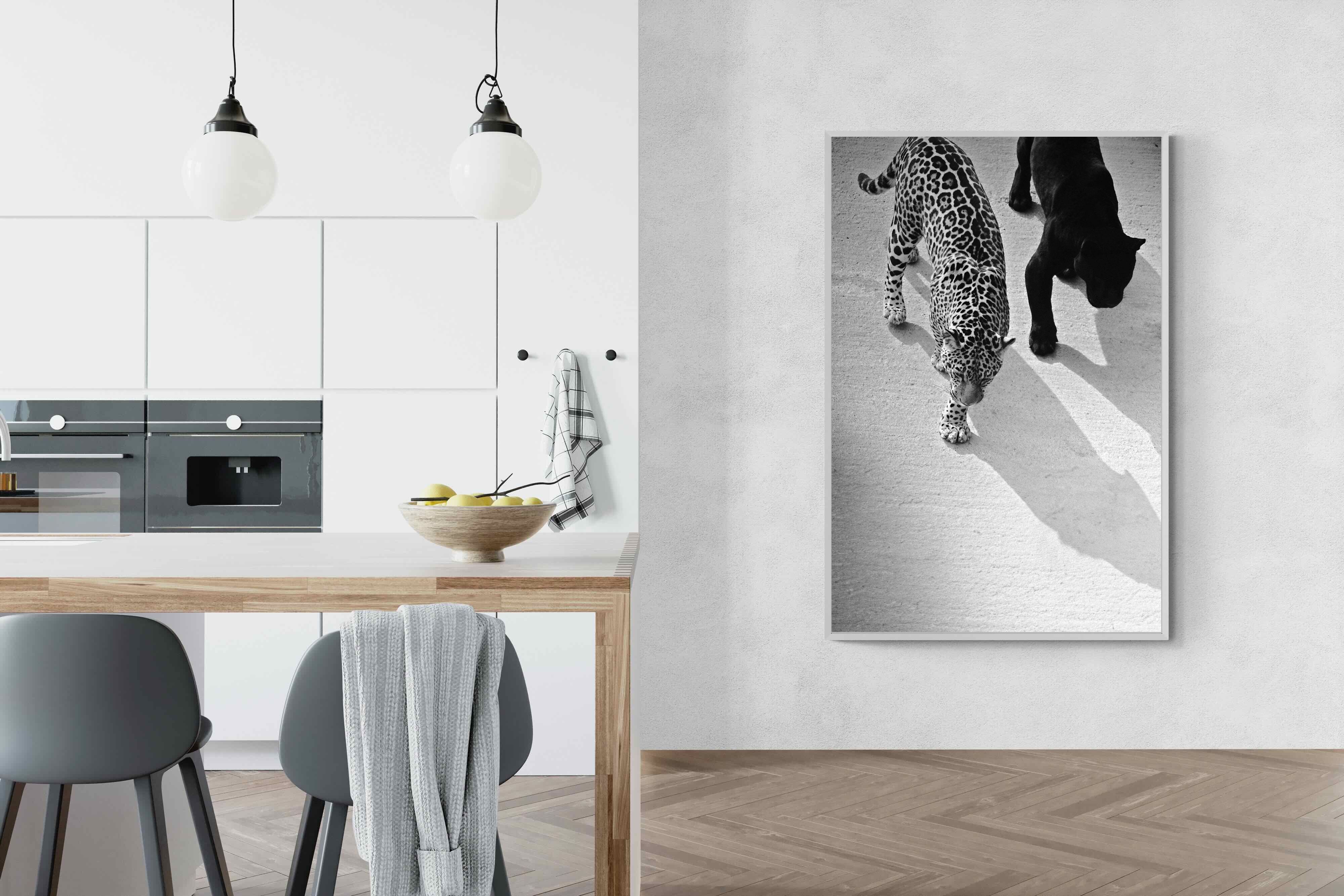 Pixalot On The Prowl