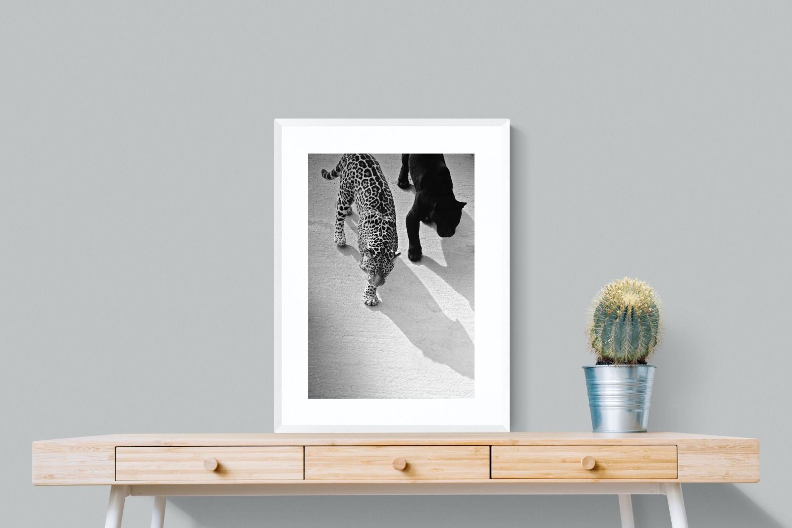 Pixalot On The Prowl