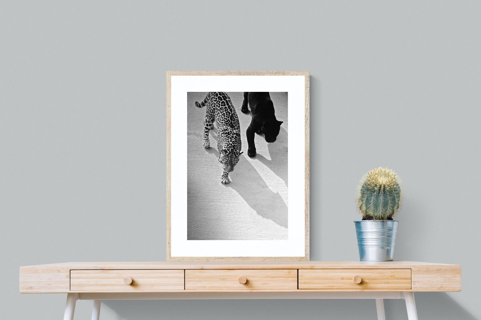 Pixalot On The Prowl