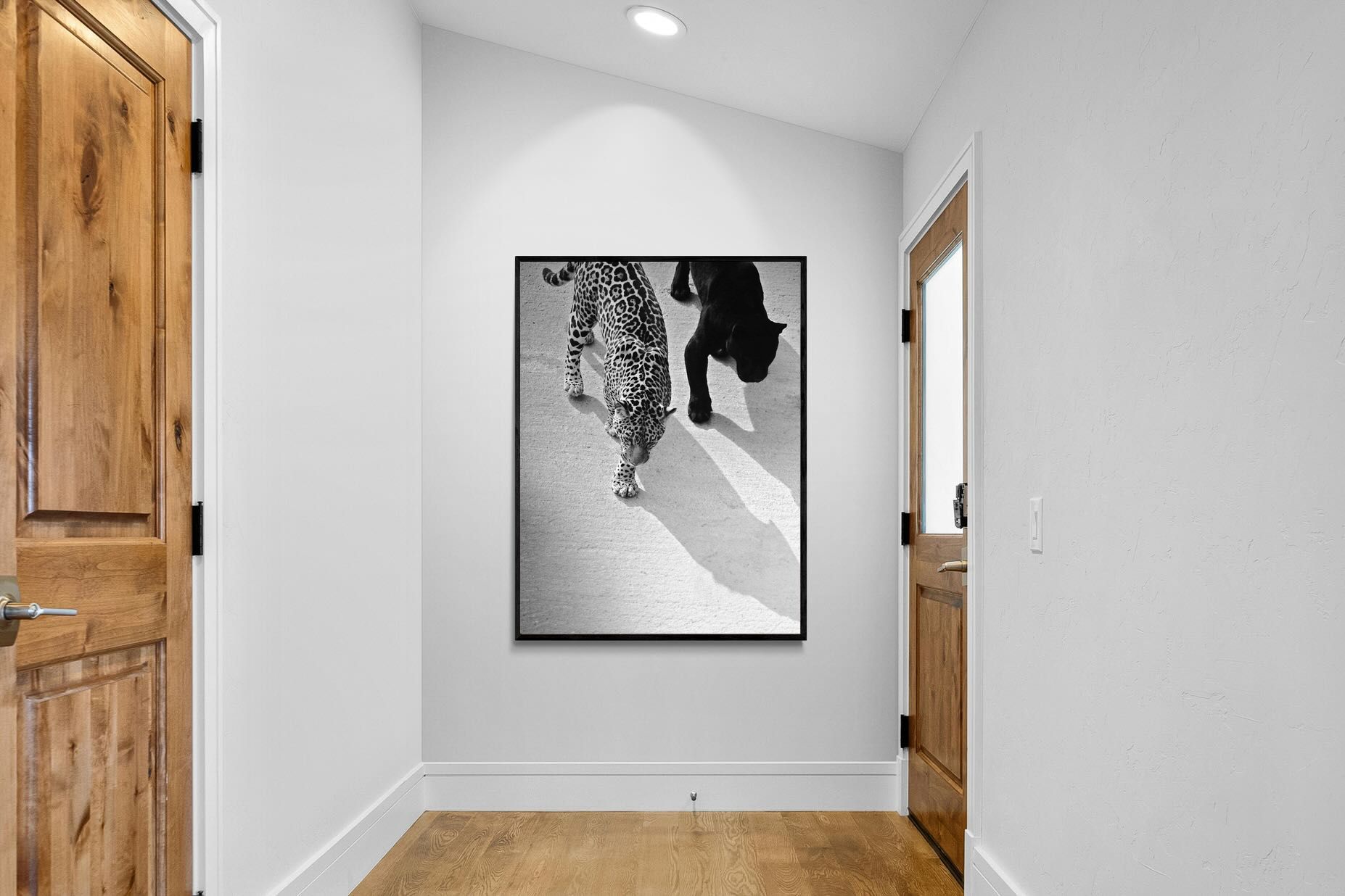 Pixalot On The Prowl