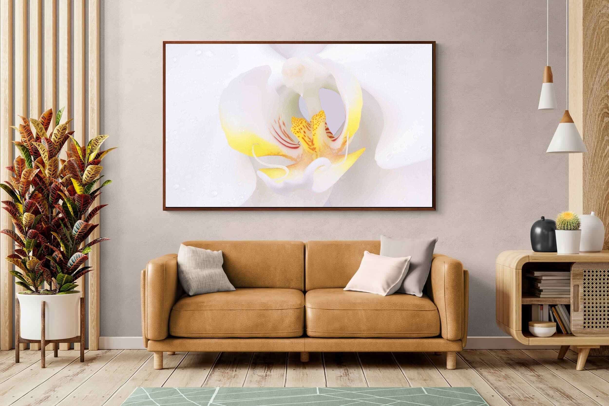 Pixalot ® Orchid