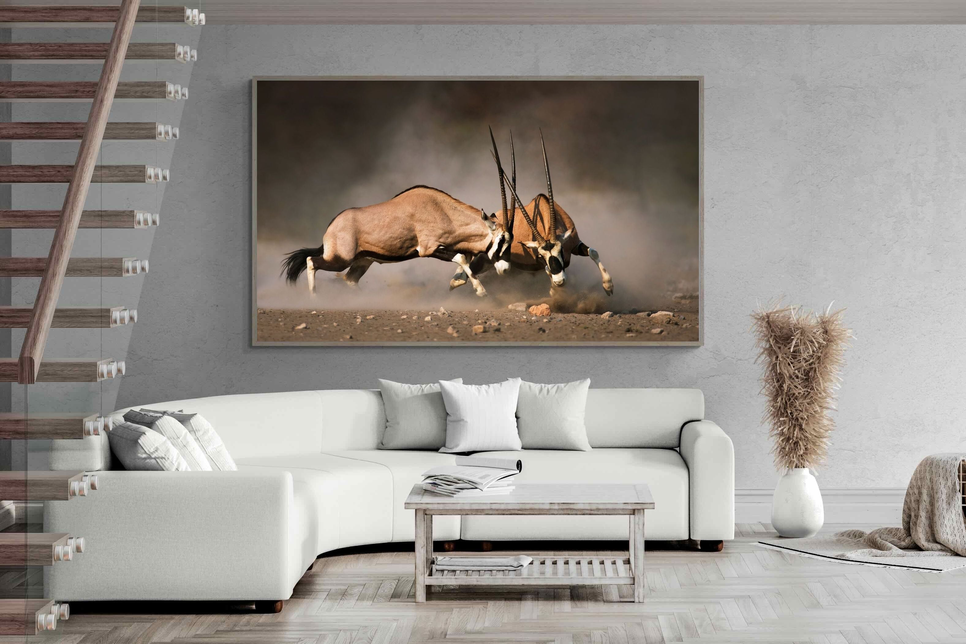 Pixalot Oryx (colour)