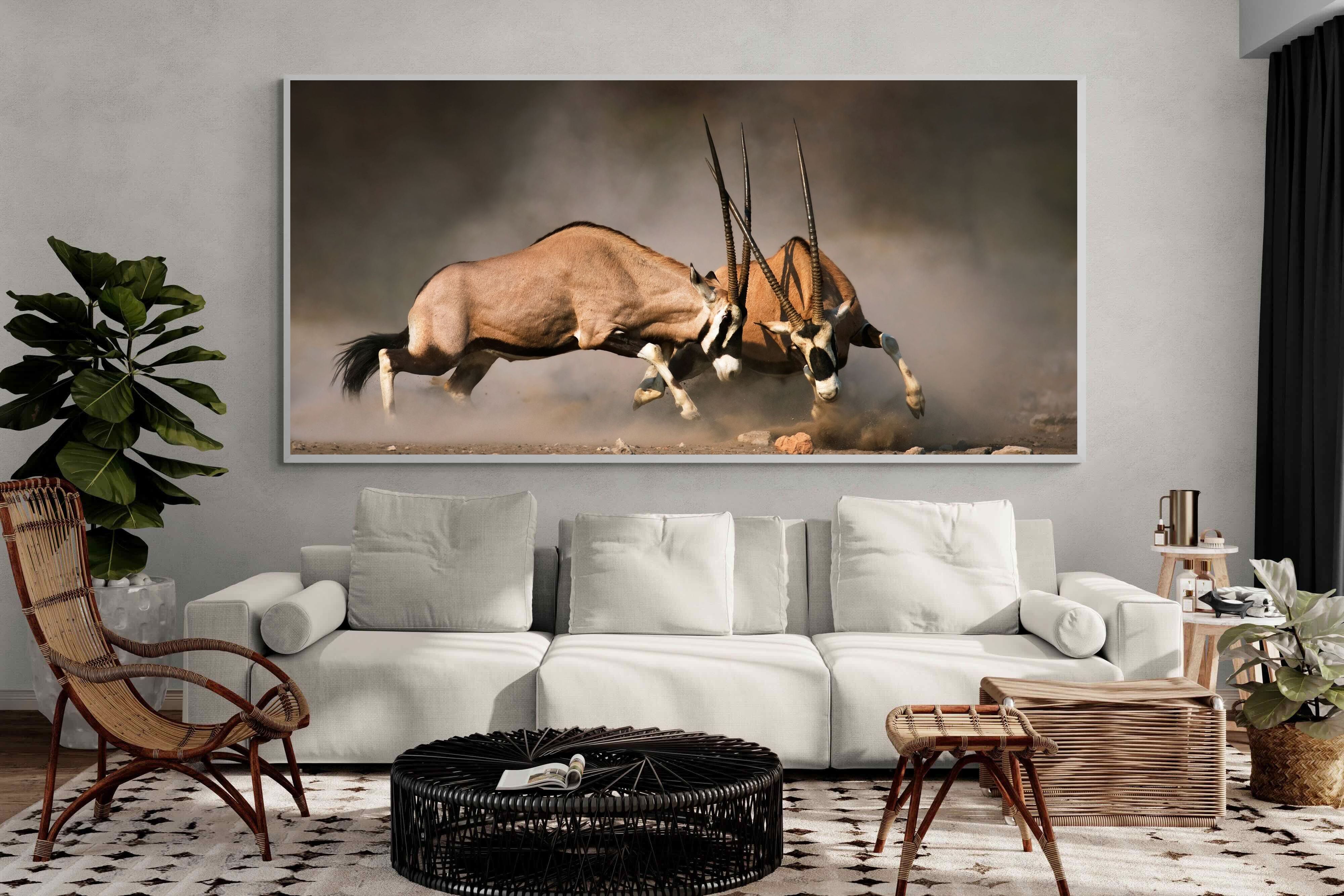 Pixalot Oryx (colour)