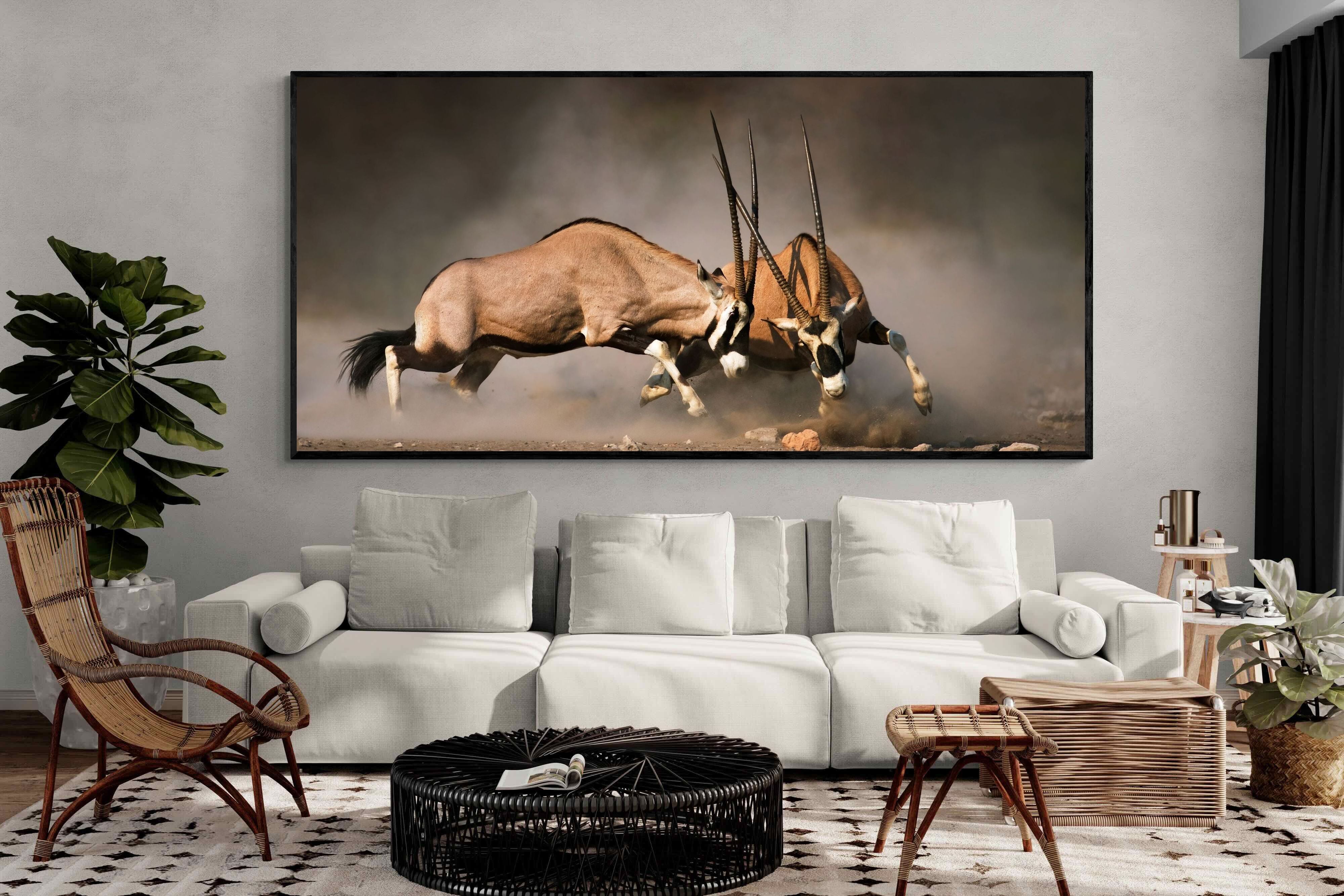 Pixalot Oryx (colour)