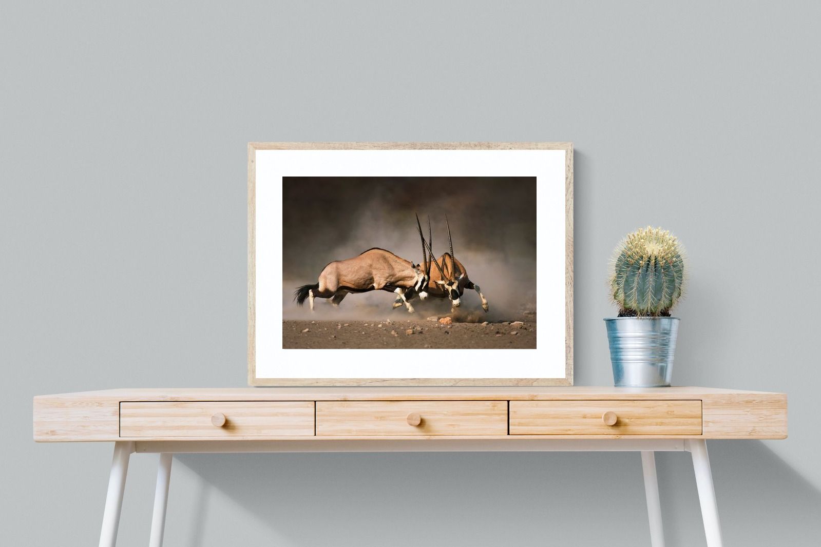 Pixalot Oryx (colour)