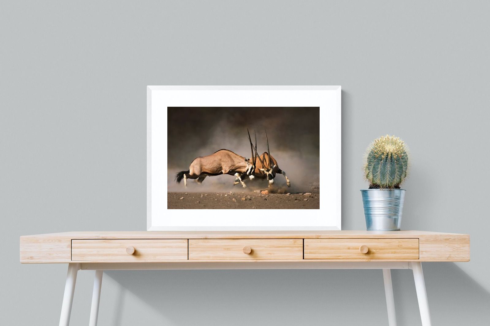 Pixalot Oryx (colour)