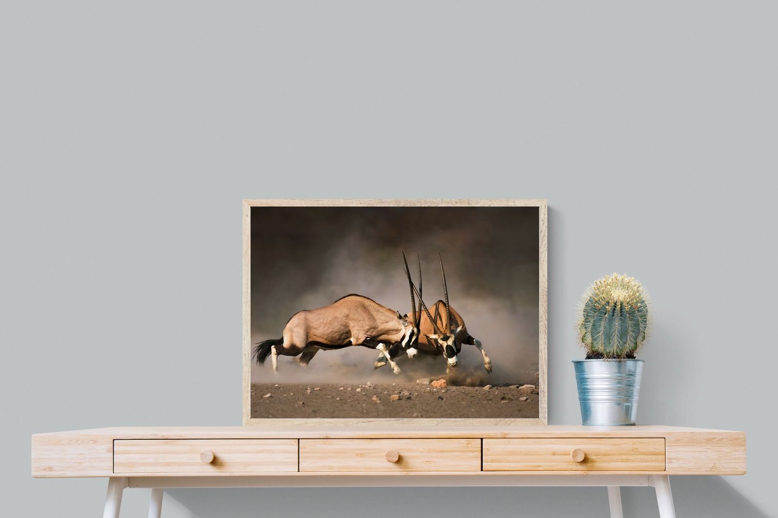 Pixalot Oryx (colour)