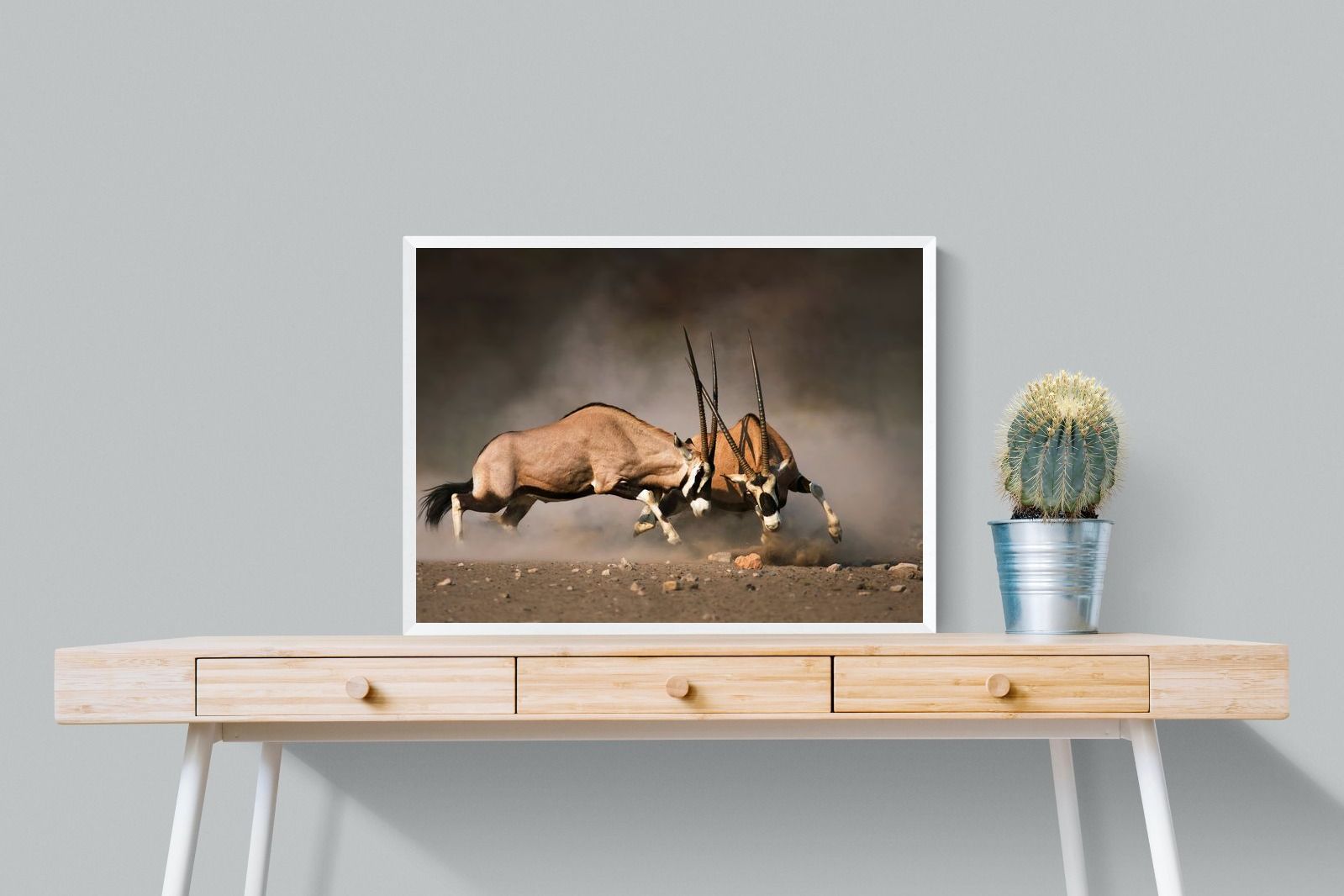 Pixalot Oryx (colour)