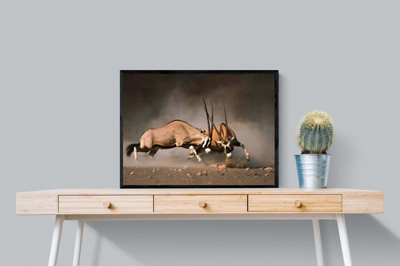 Pixalot Oryx (colour)