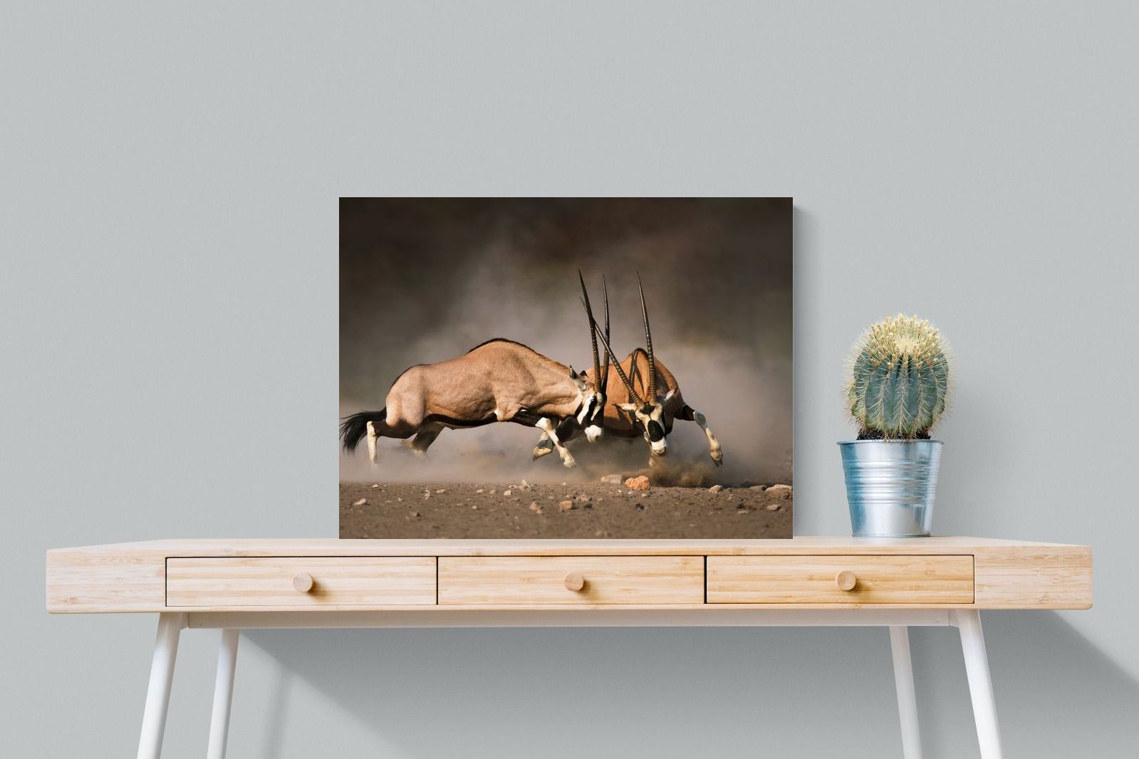 Pixalot Oryx (colour)