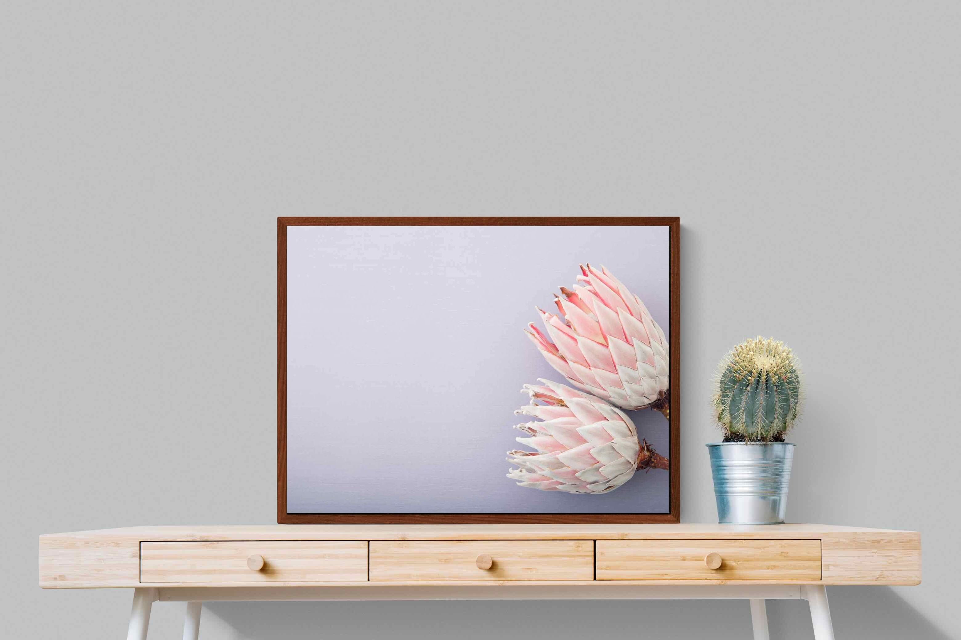 Pixalot ® Pair of Proteas