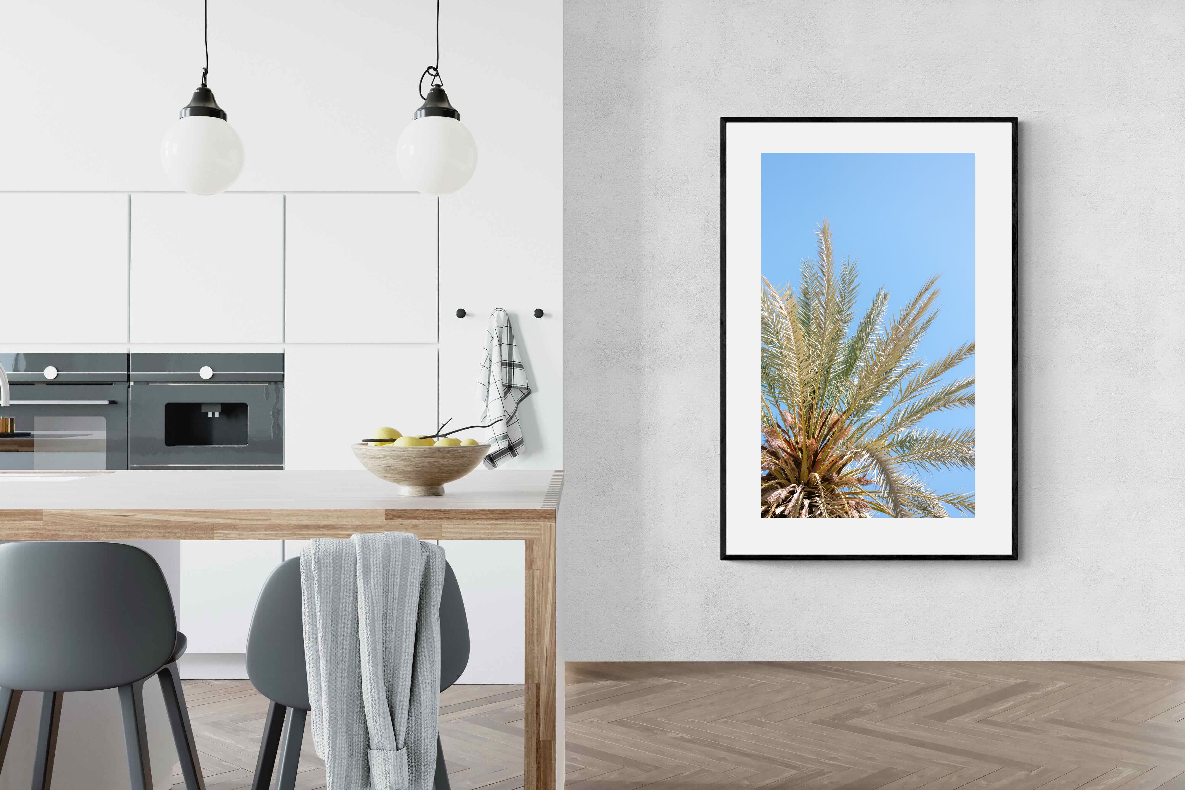 Pixalot Palm Radiance