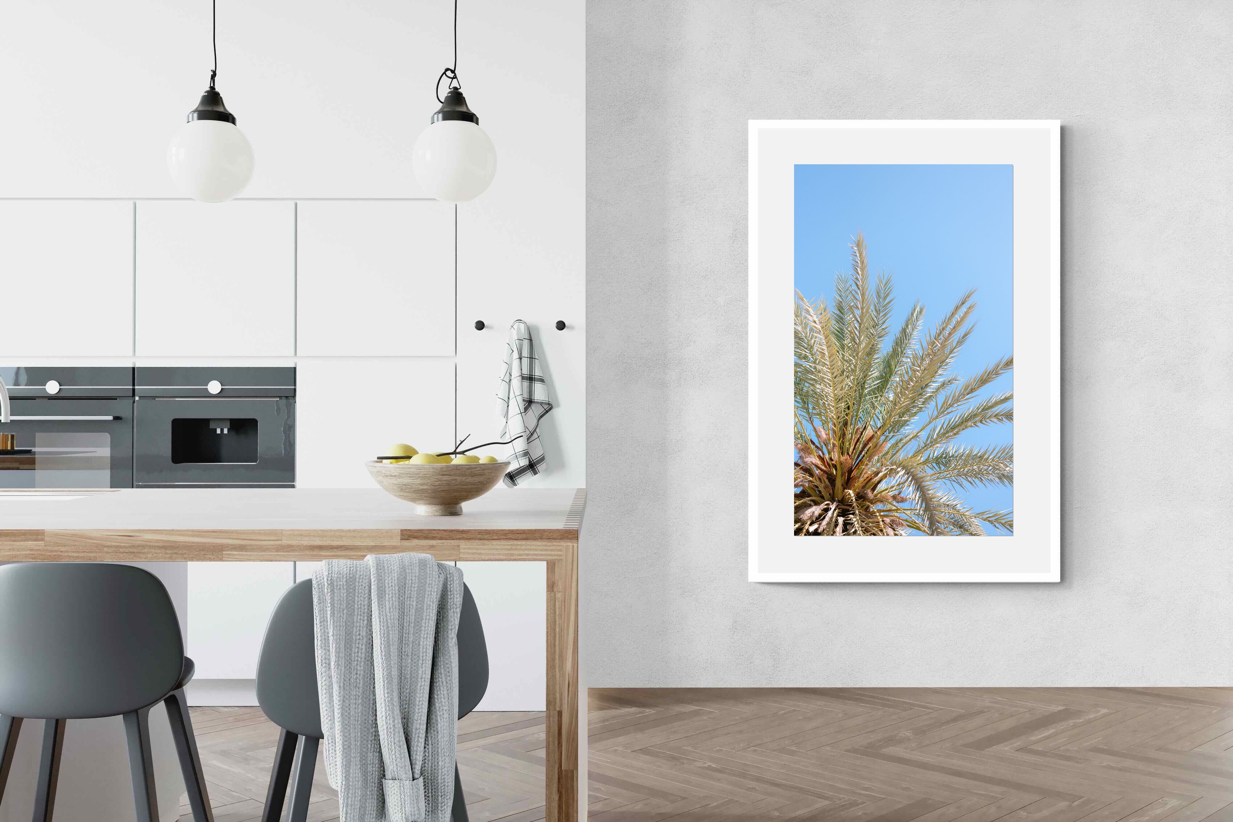 Pixalot Palm Radiance