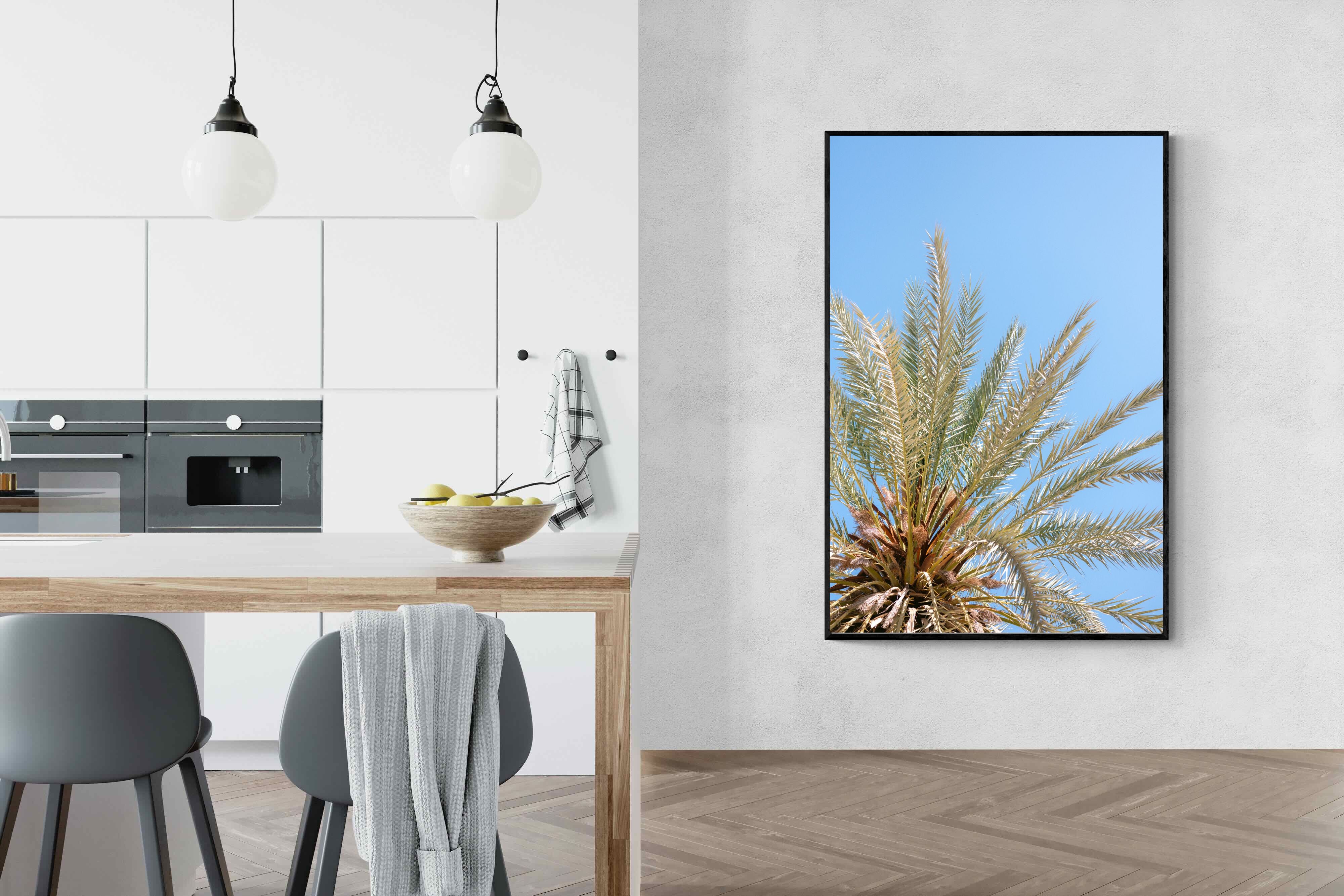 Pixalot Palm Radiance