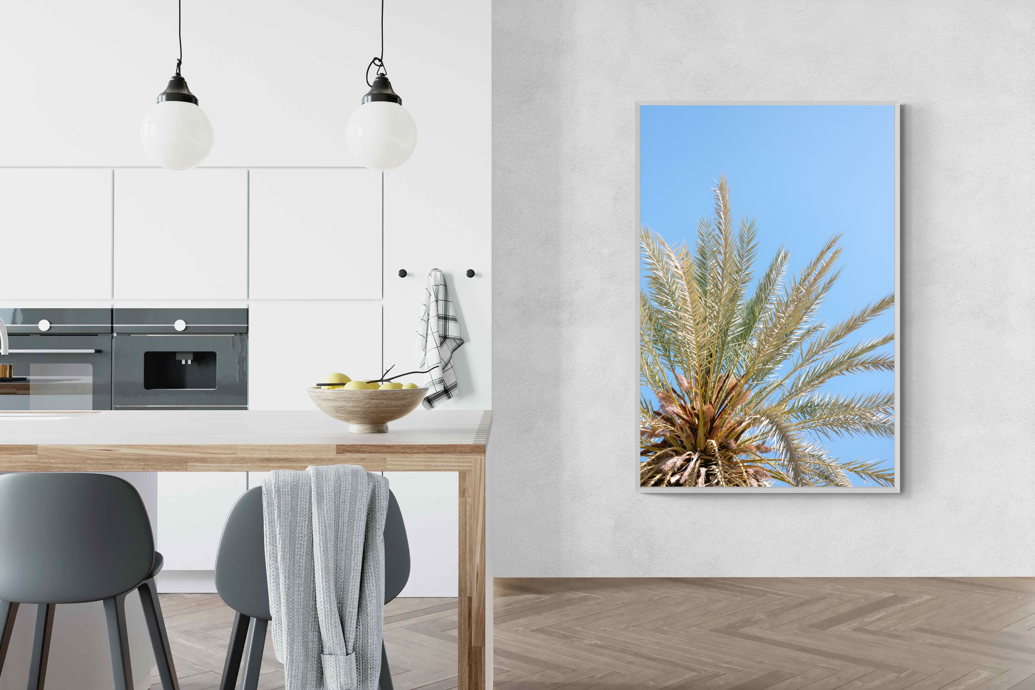 Pixalot Palm Radiance