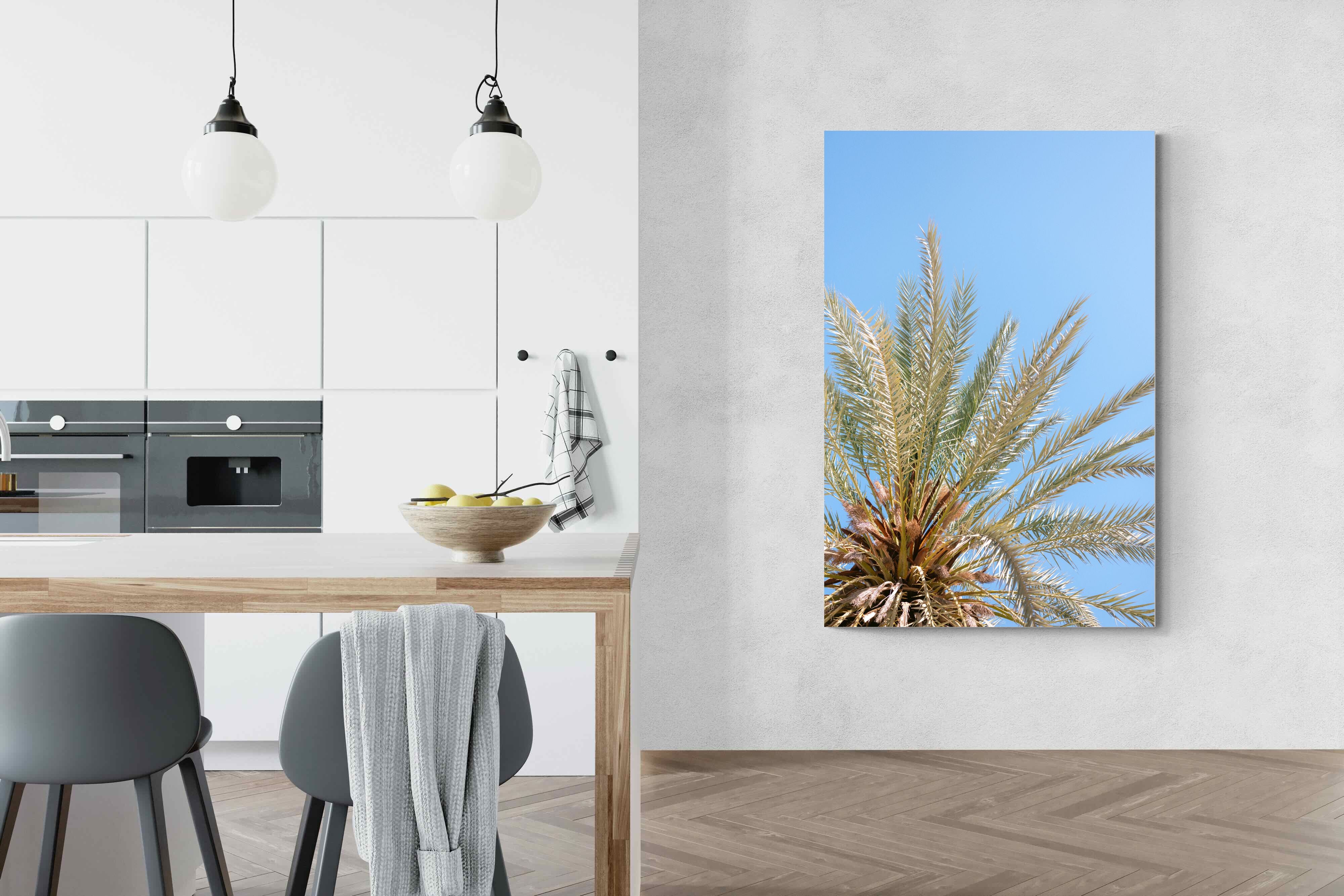 Pixalot Palm Radiance