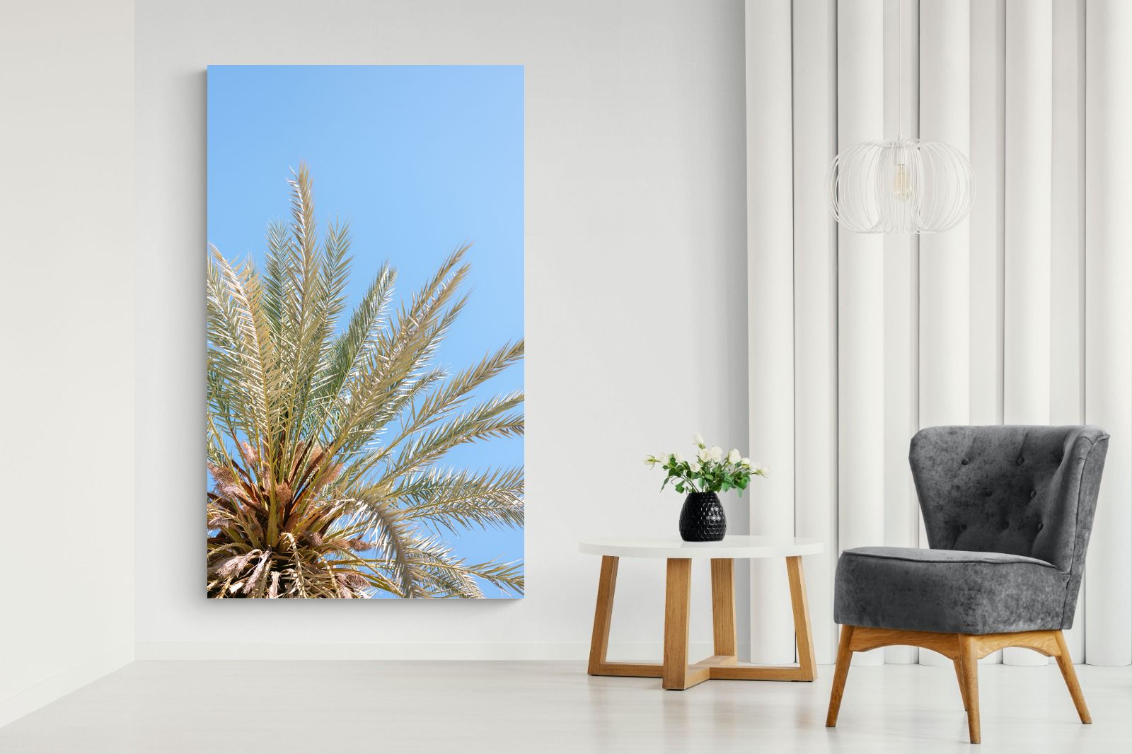 Pixalot Palm Radiance