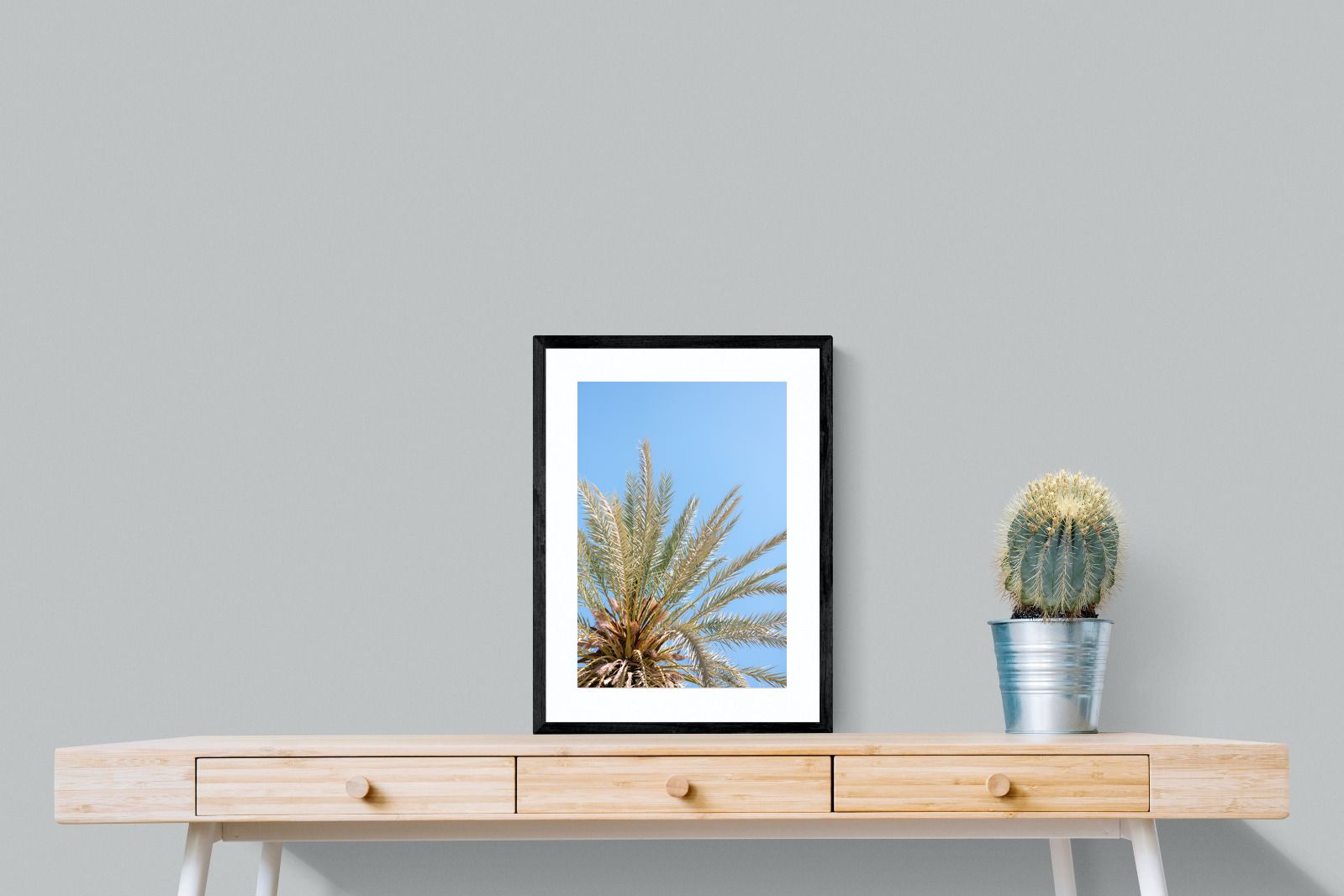 Pixalot Palm Radiance