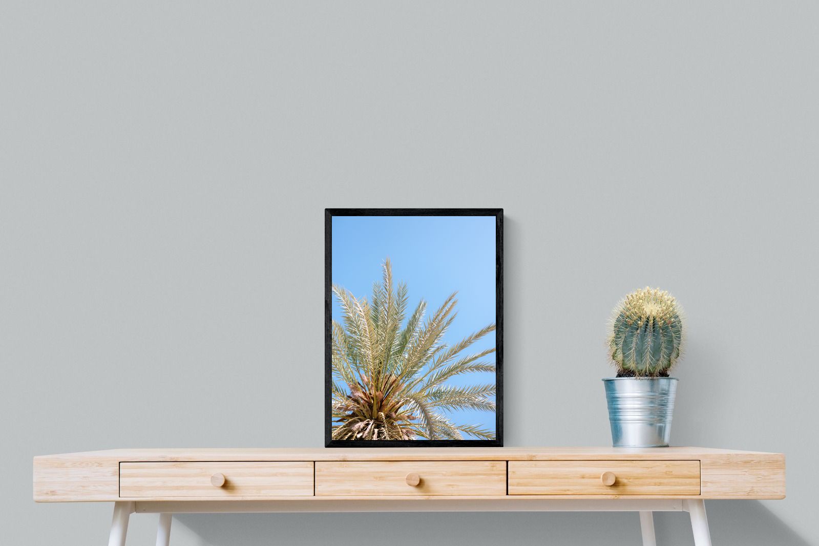 Pixalot Palm Radiance