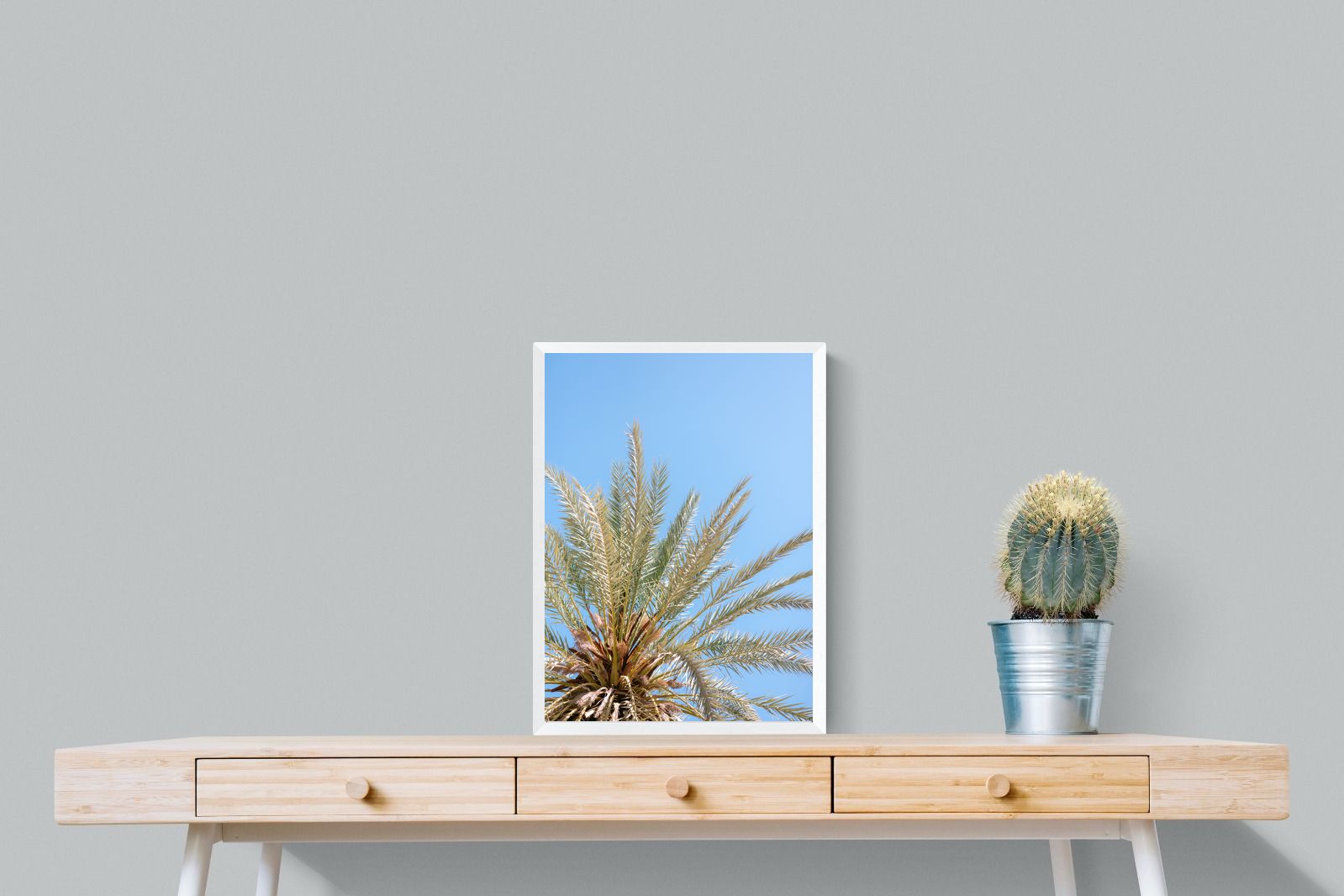 Pixalot Palm Radiance