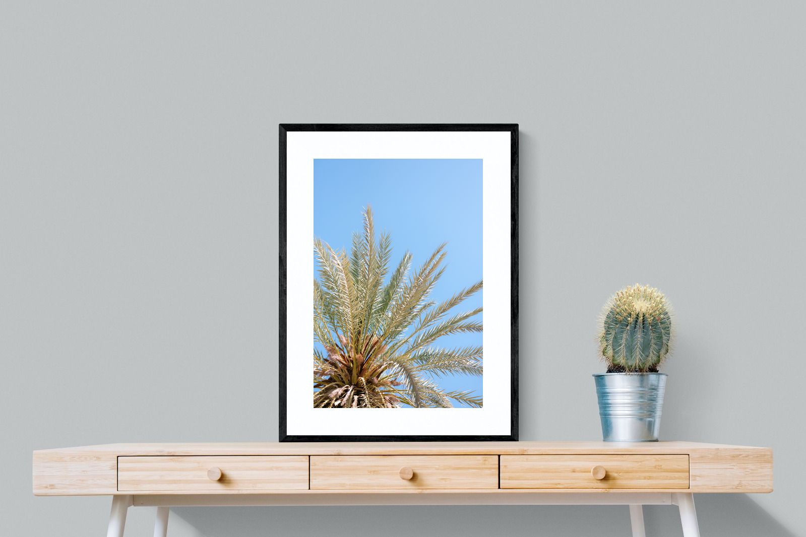 Pixalot Palm Radiance