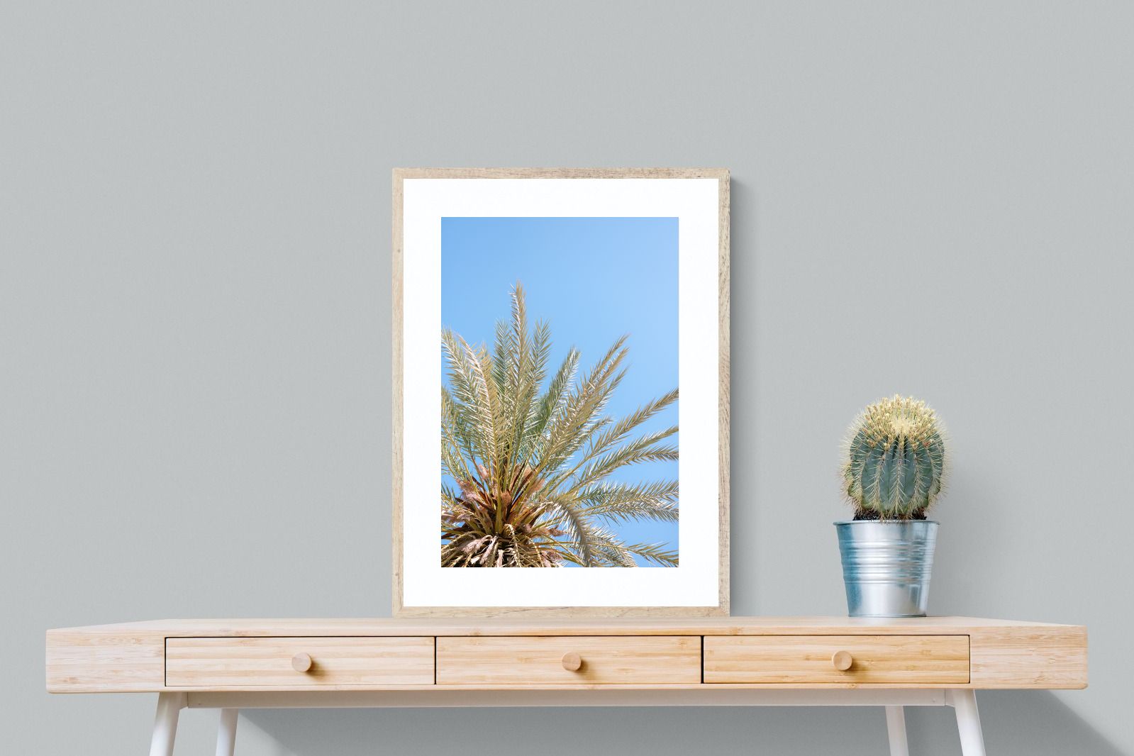 Pixalot Palm Radiance