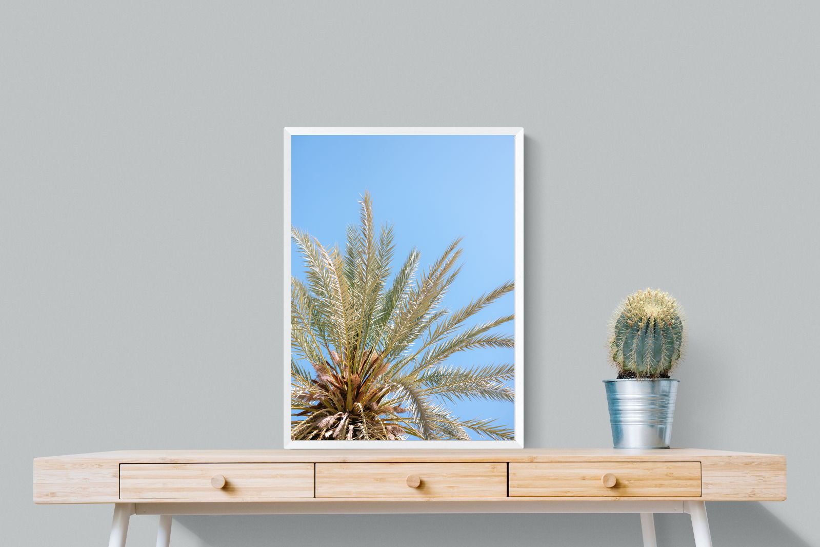 Pixalot Palm Radiance