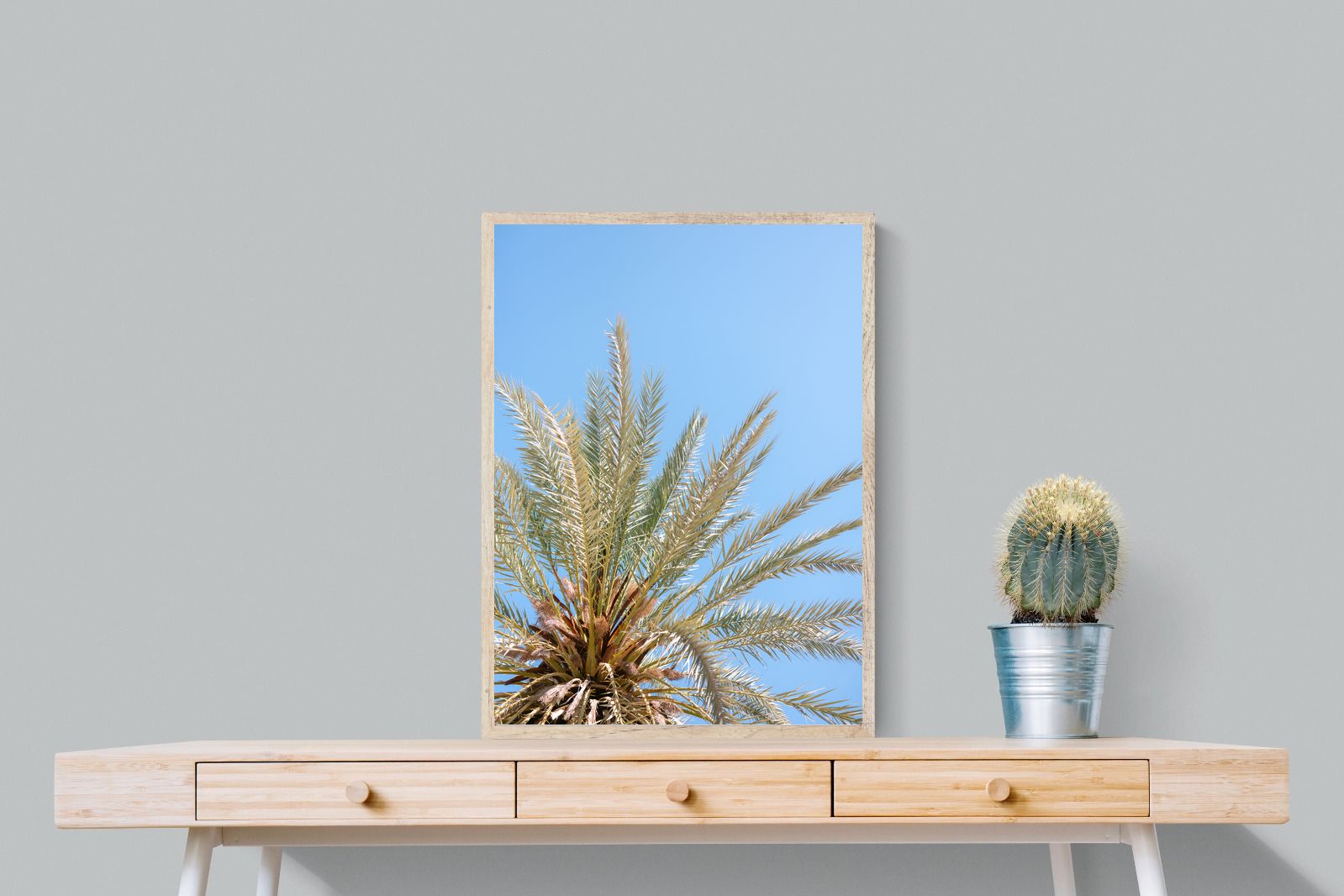 Pixalot Palm Radiance