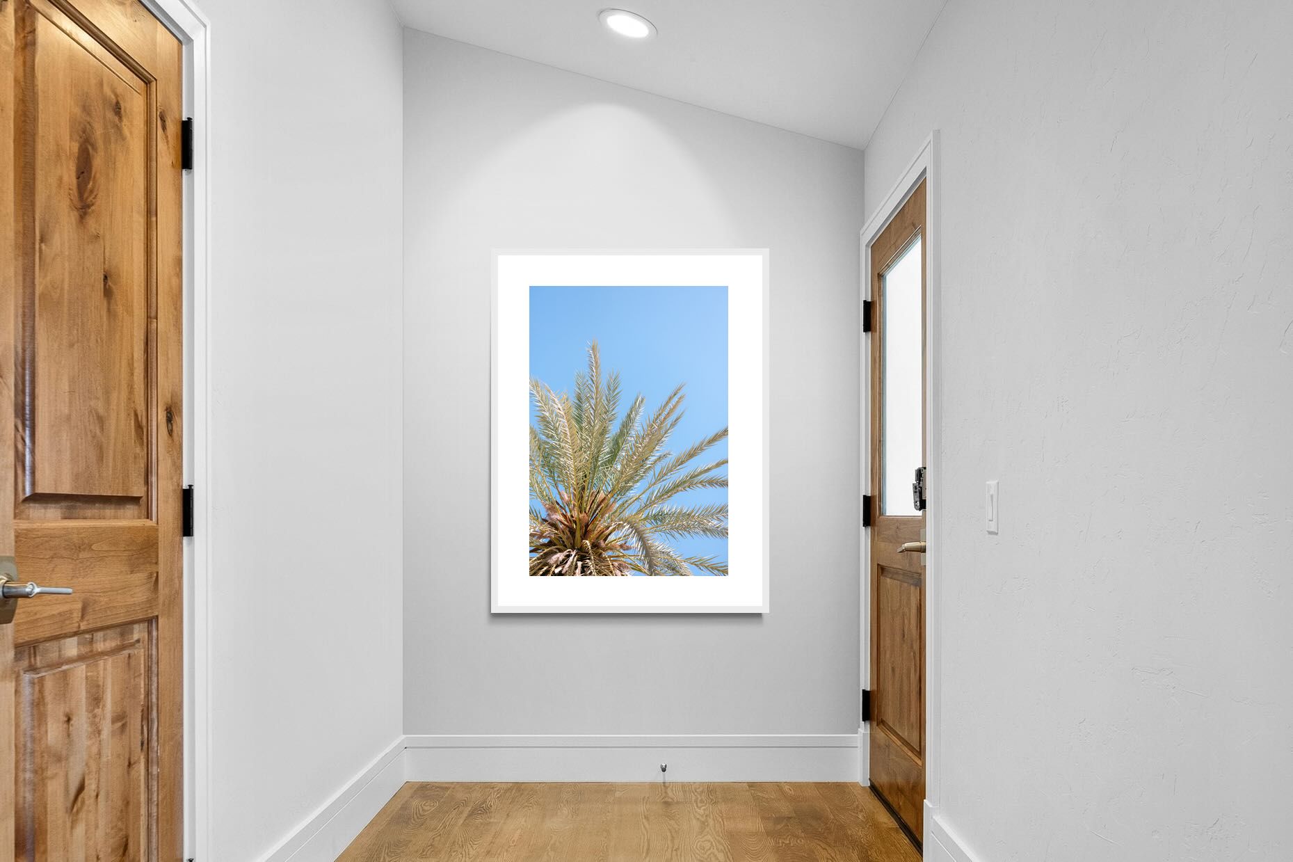 Pixalot Palm Radiance