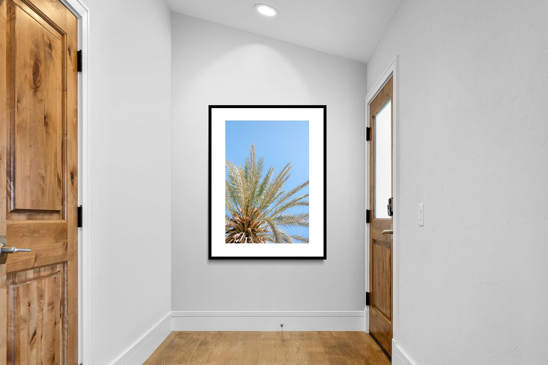 Pixalot Palm Radiance