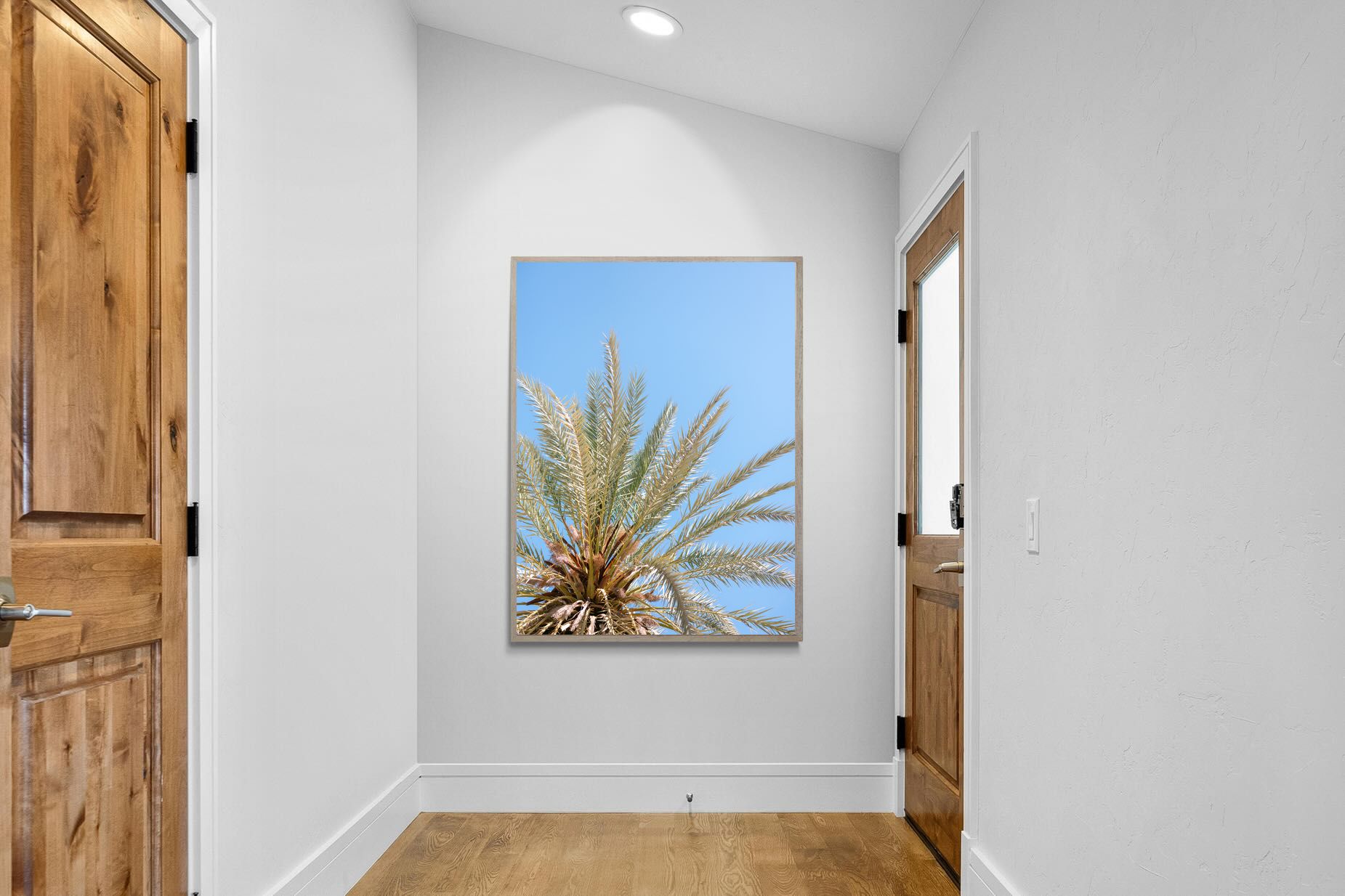 Pixalot Palm Radiance